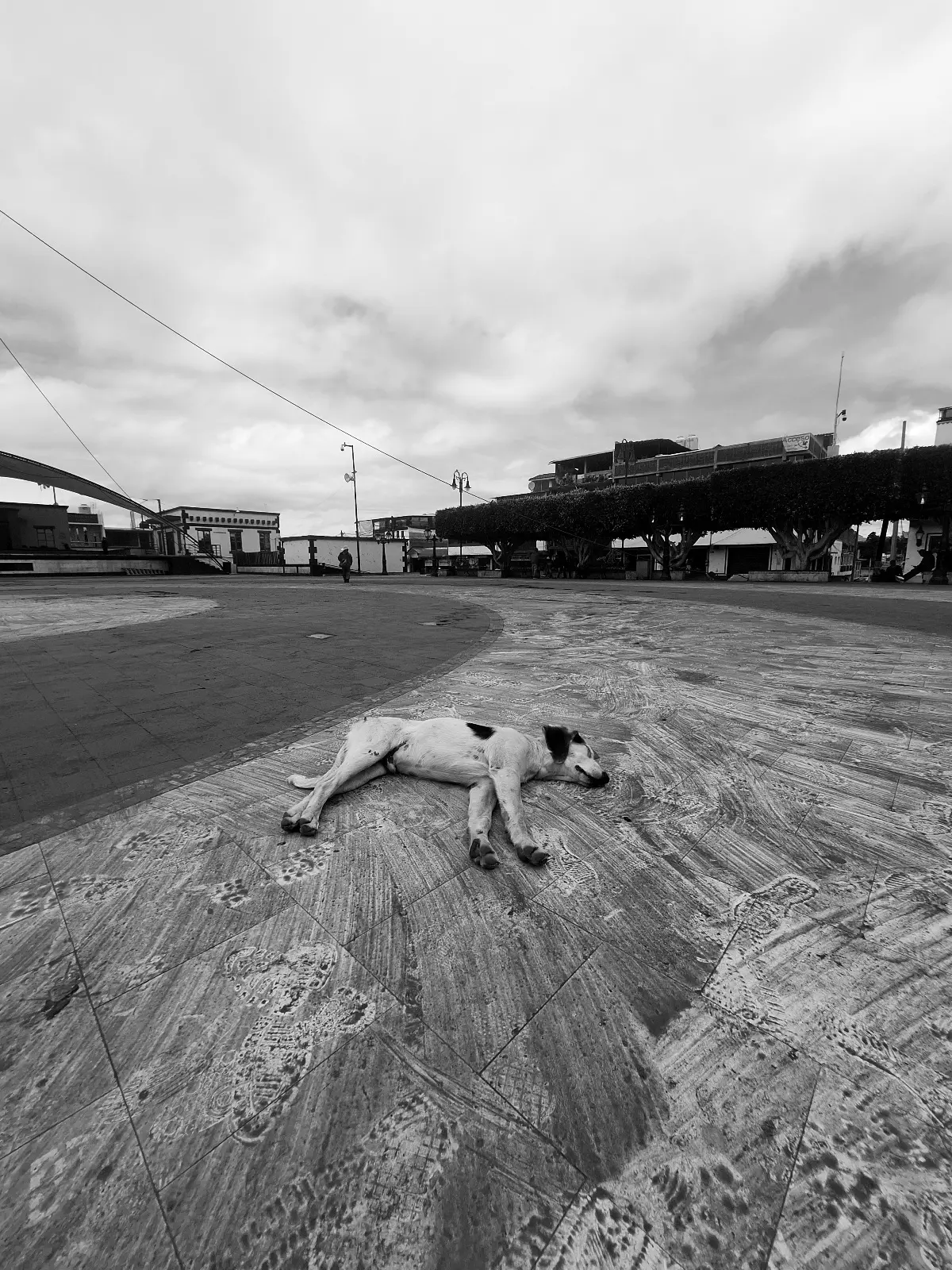 Photograph by diego-cesar-monroy-chaparro-1