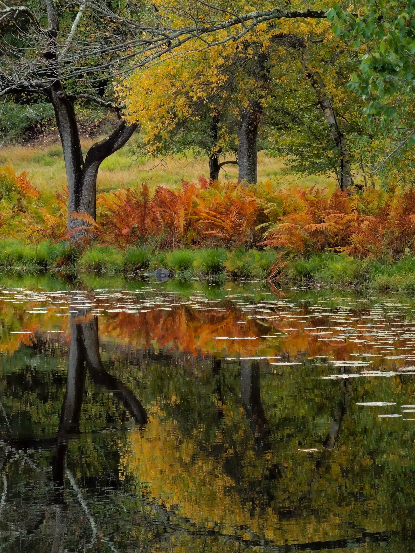 Photograph by berl brechner