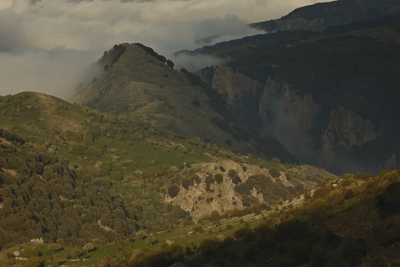 Madonie,Sicily by Rocco innocenzo Fraglica