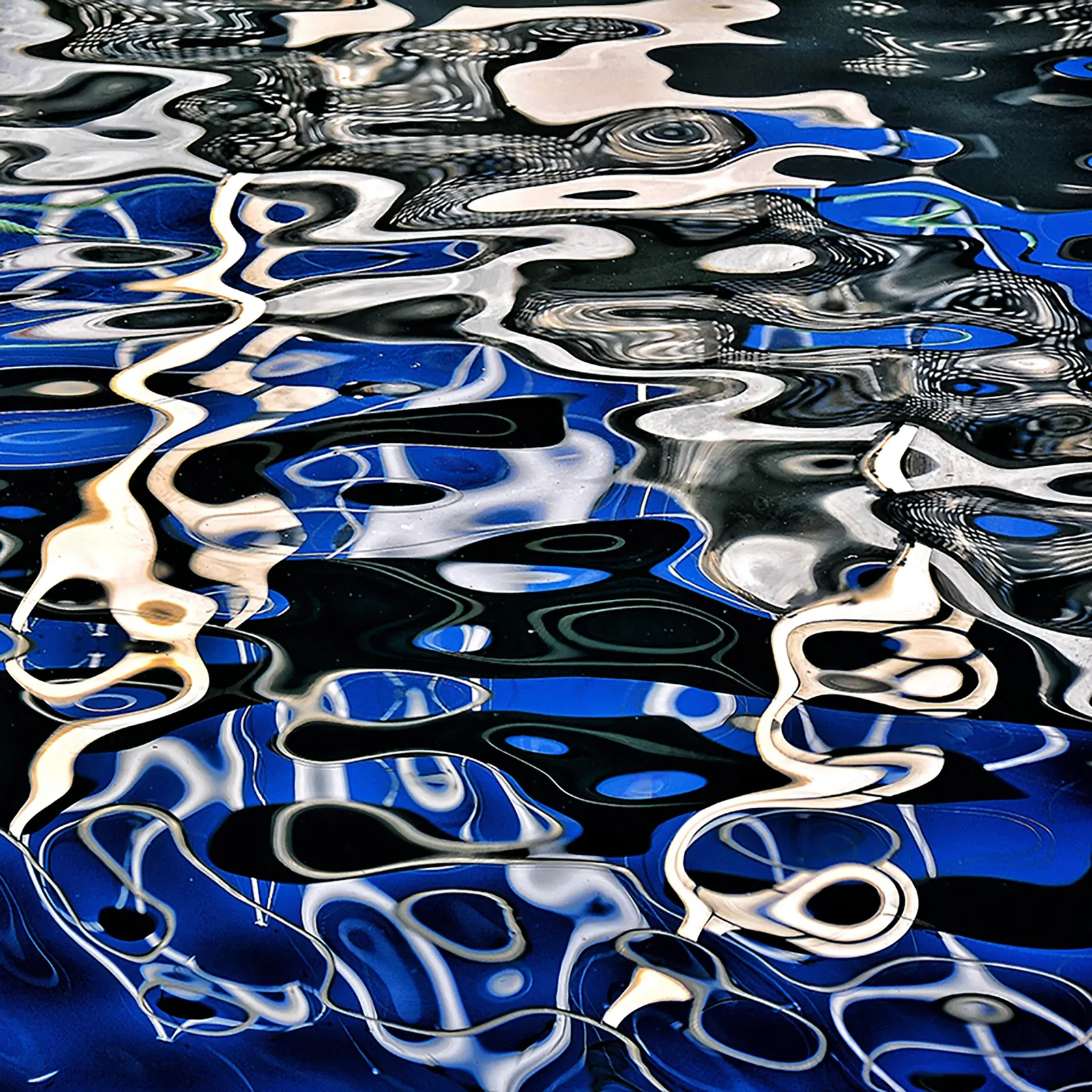 Photograph by marcelo cesar