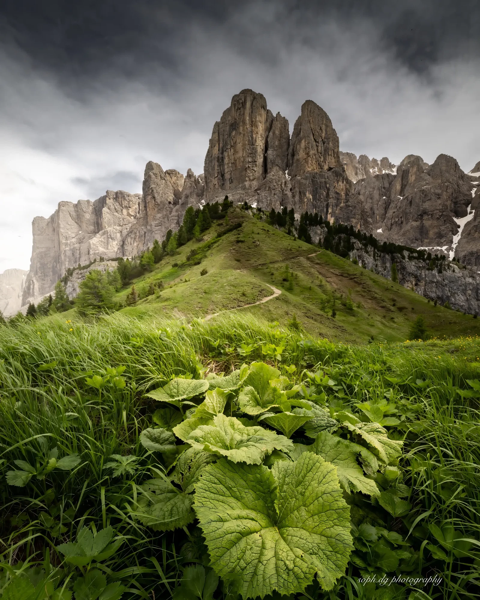 Photograph by sophie heusdens