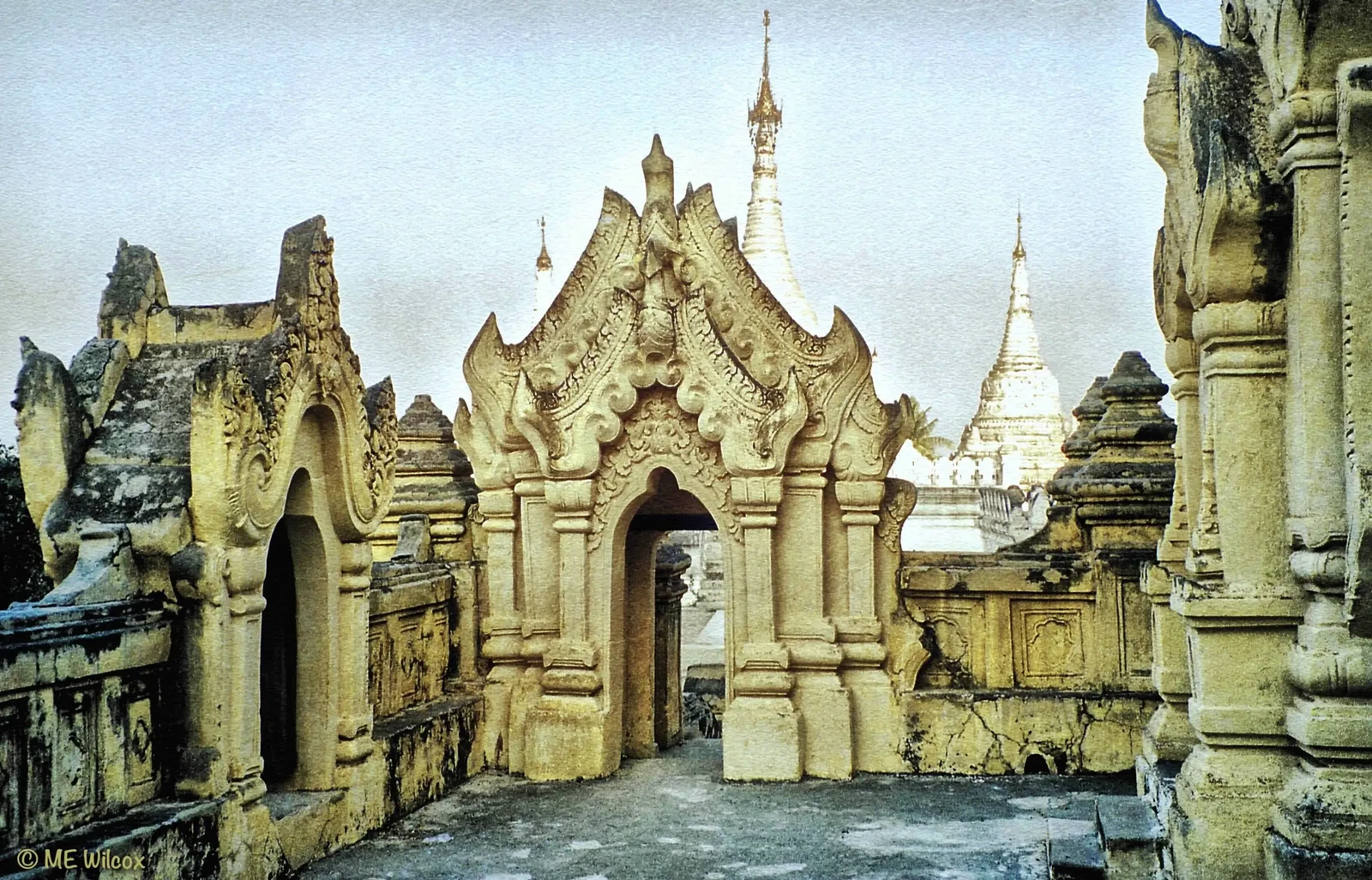 Photograph by M.E. Wilcox