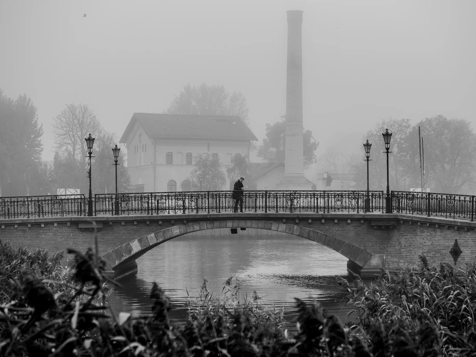 Photograph by Sylwia Sieradzka