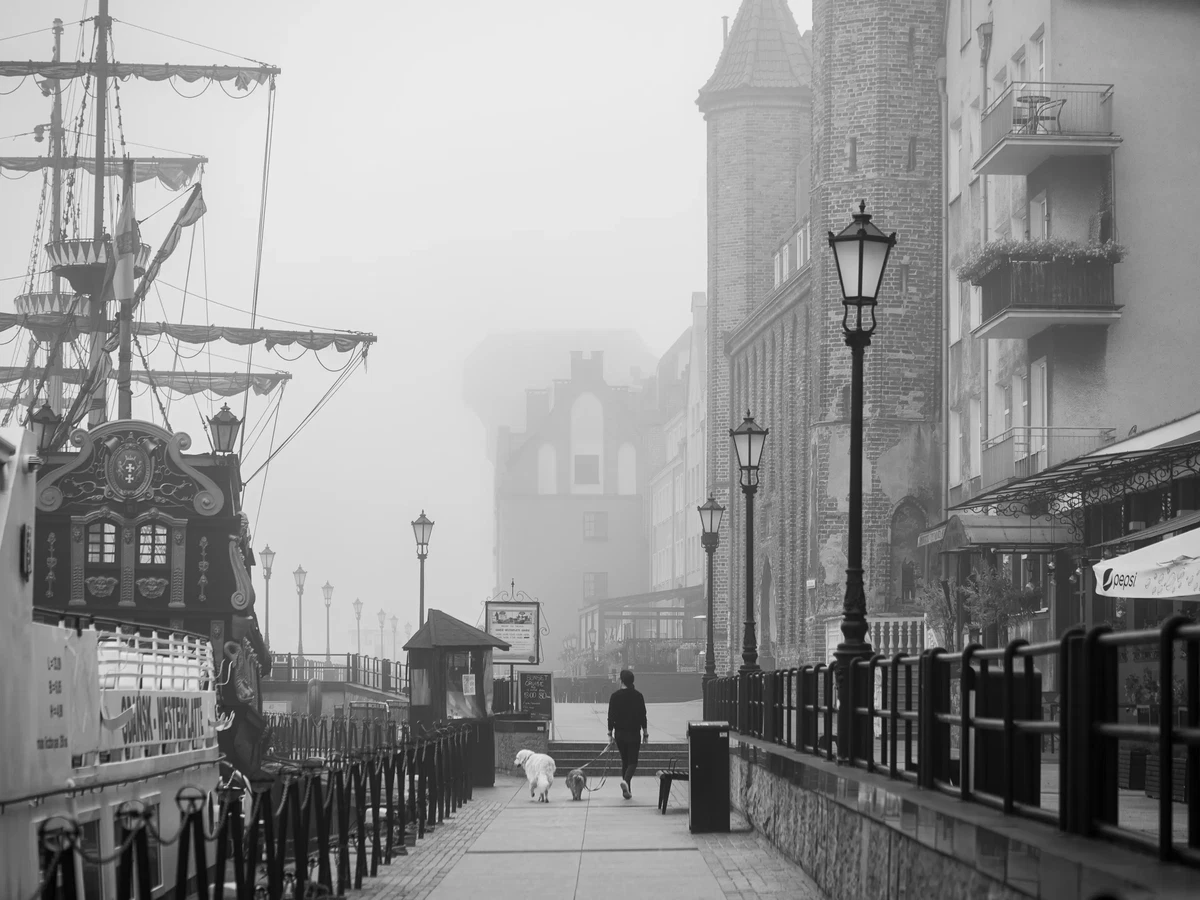 Misty morning in the city by Sylwia Sieradzka
