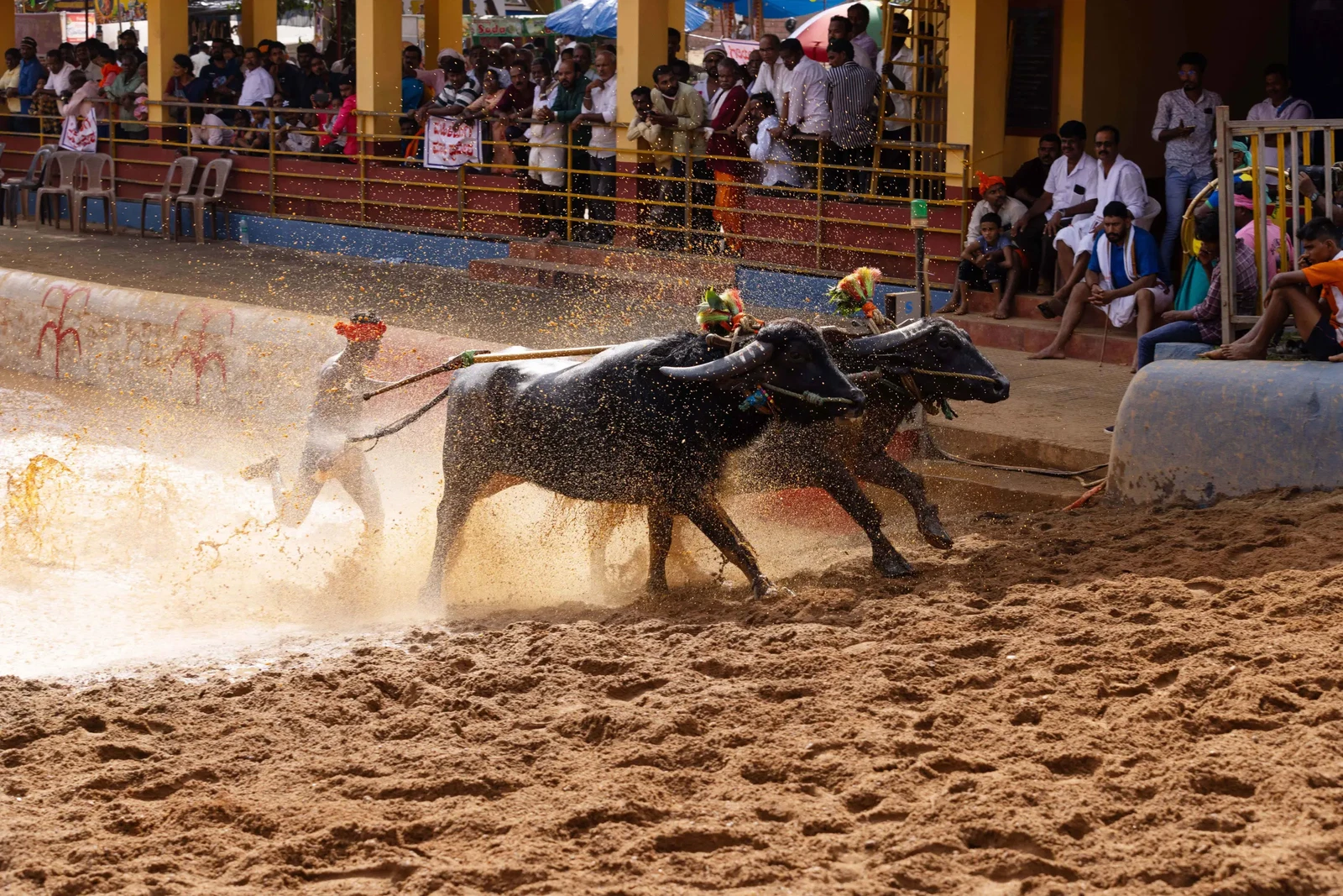 Photograph by Seshu Chandaka