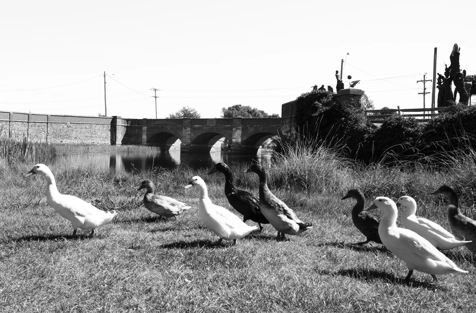 Photograph by Margaux Kendall