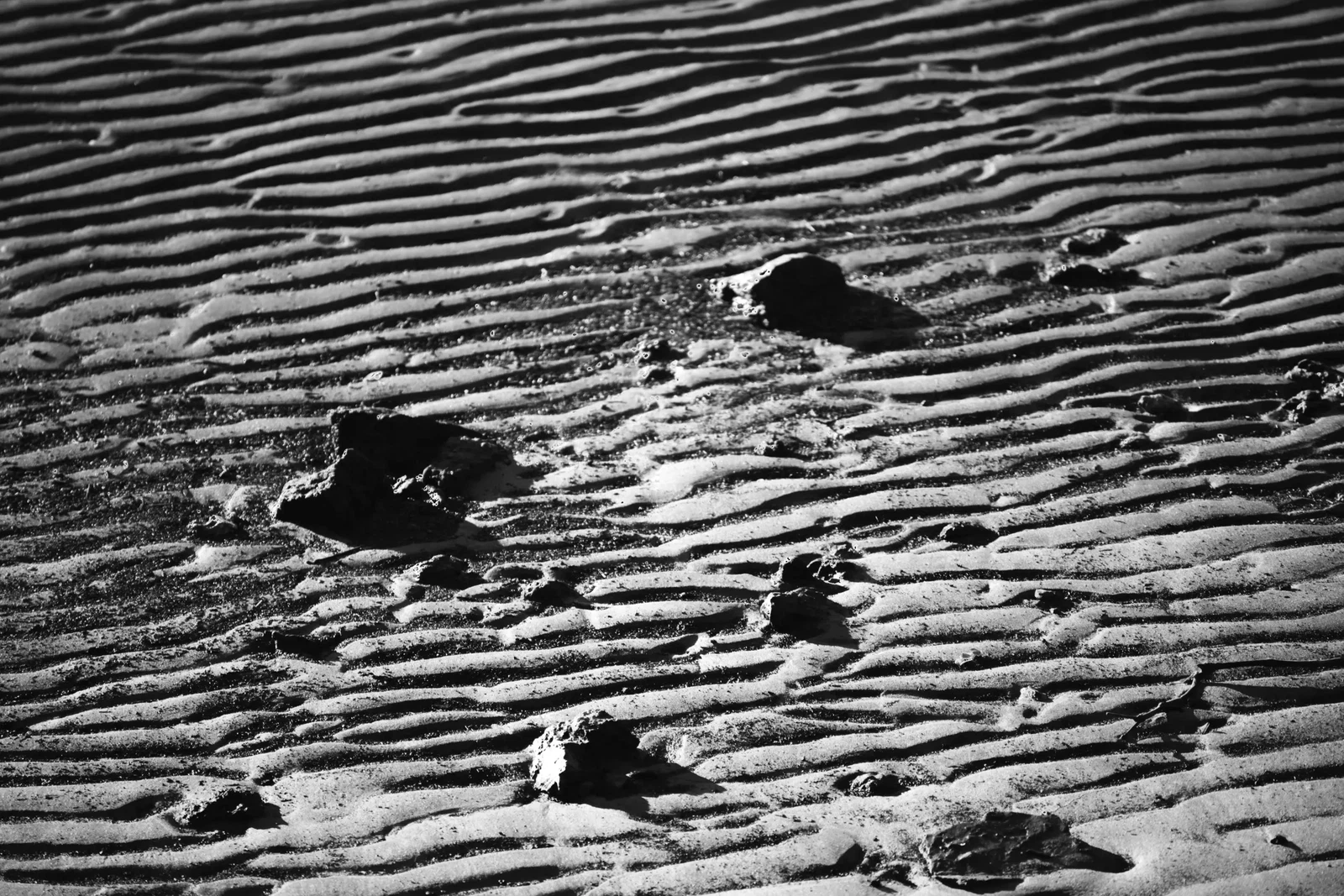 Photograph by Margaux Kendall