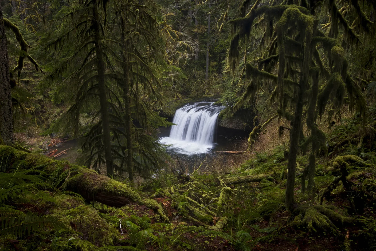 Photograph by Sarah Barry