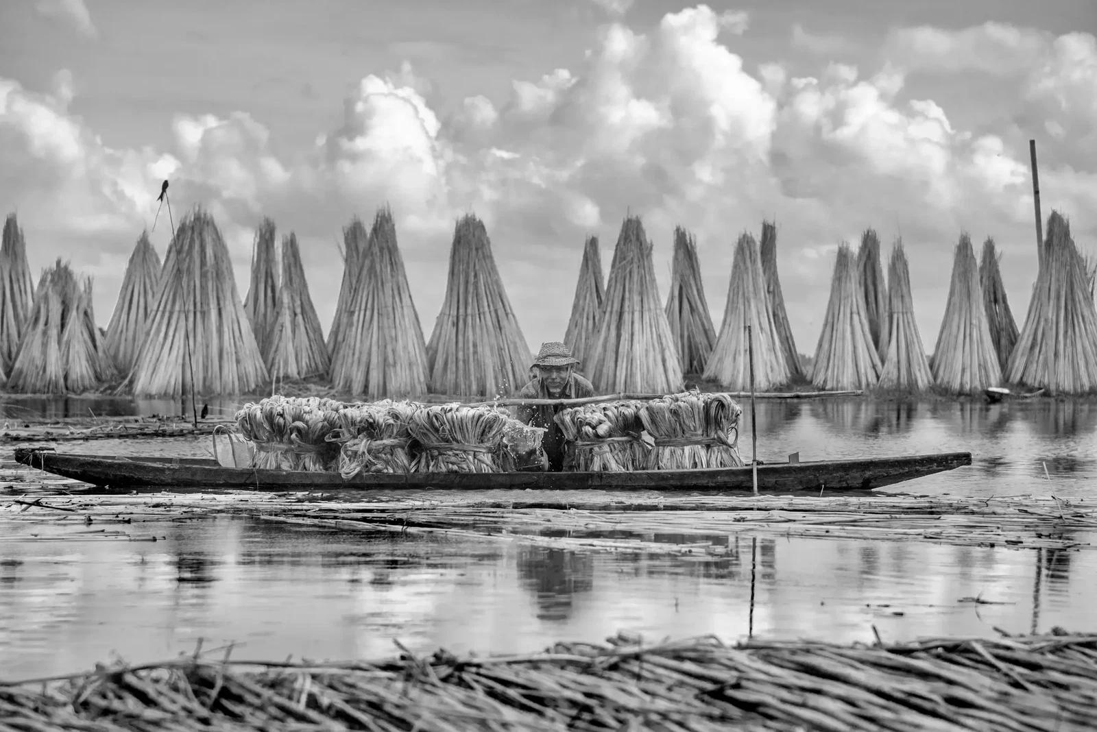 Photograph by Debraj Das