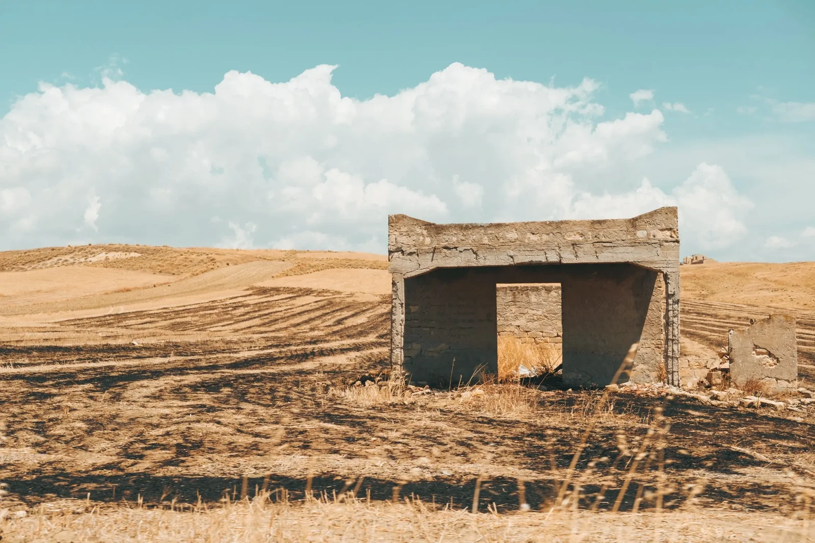Photograph by sofia dao