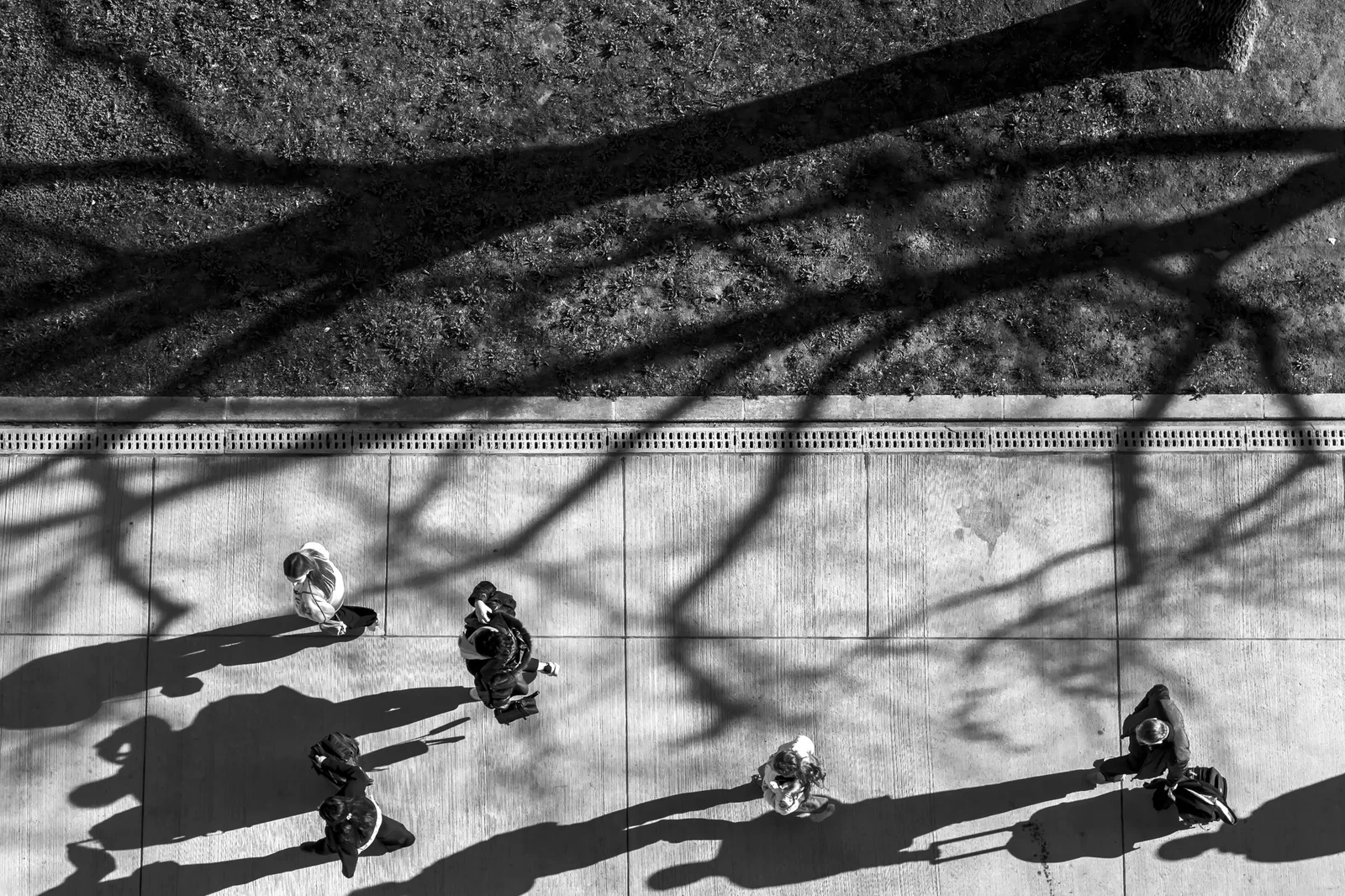 Photograph by andrea-d%c3%b3czy-bodn%c3%a1r