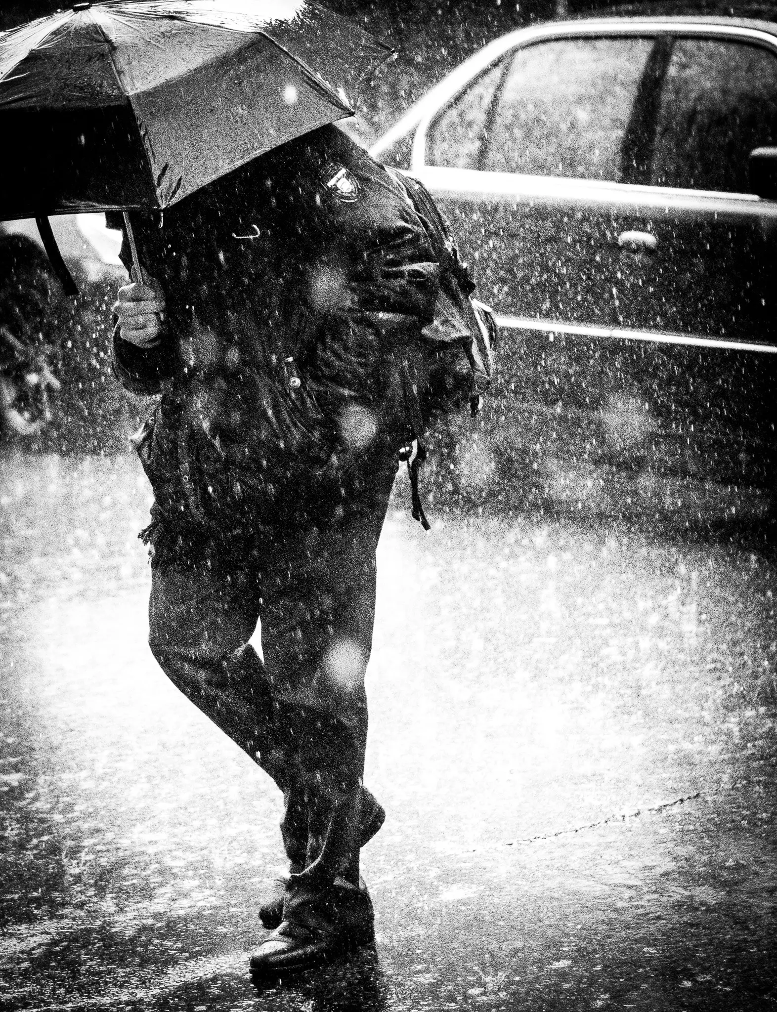 Downpour by Nicholas Wong