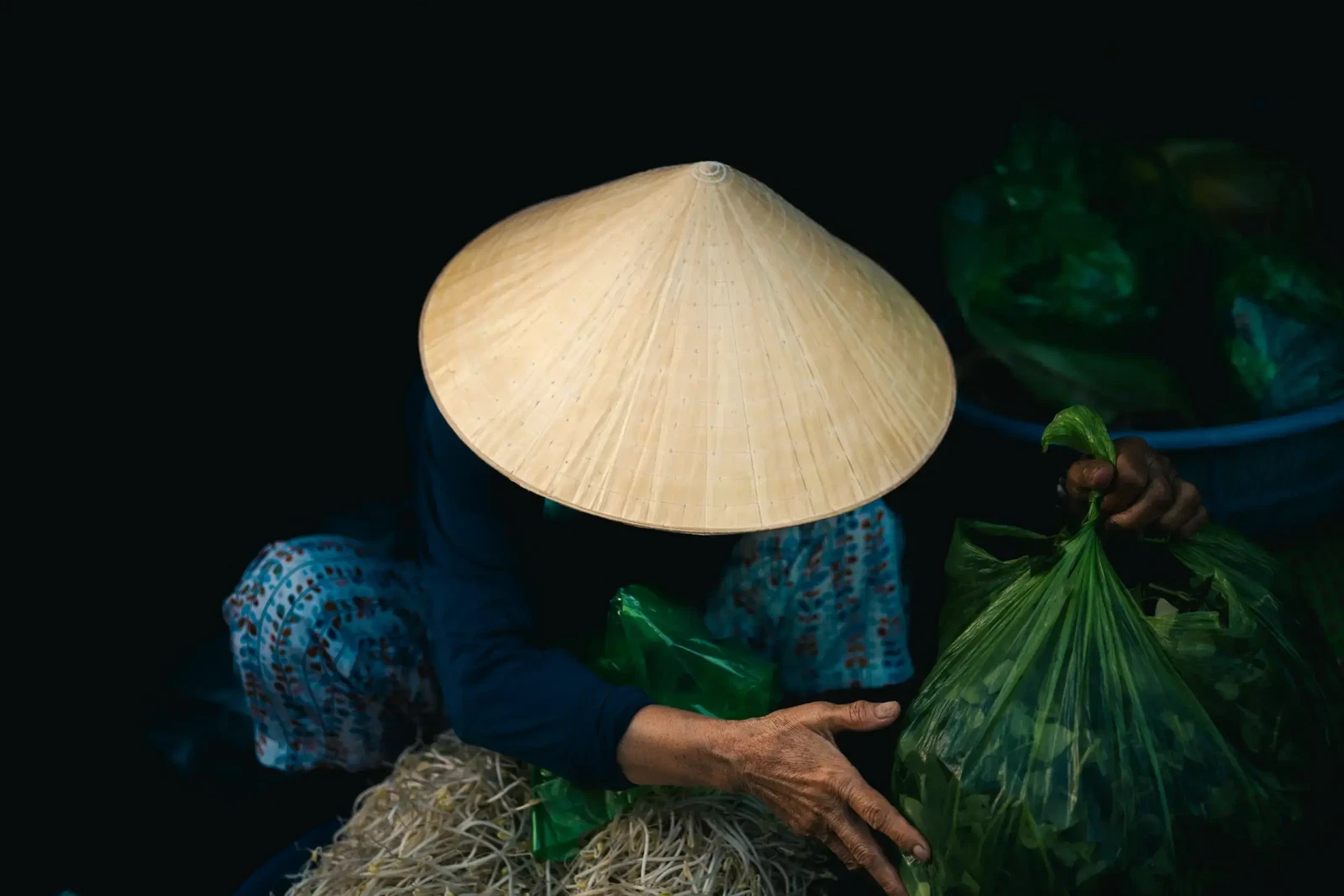 Photograph by Dylan Huveneers
