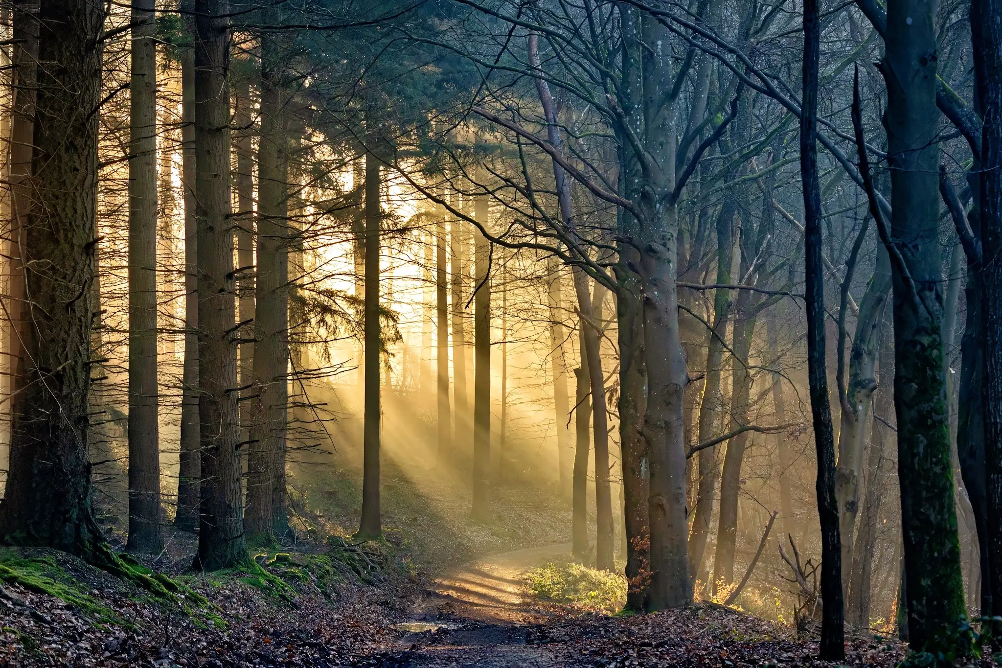 Photograph by Lars-Henrik Roth
