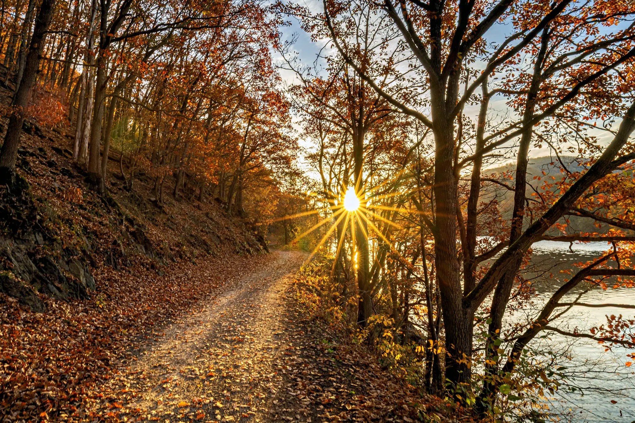 Photograph by Lars-Henrik Roth