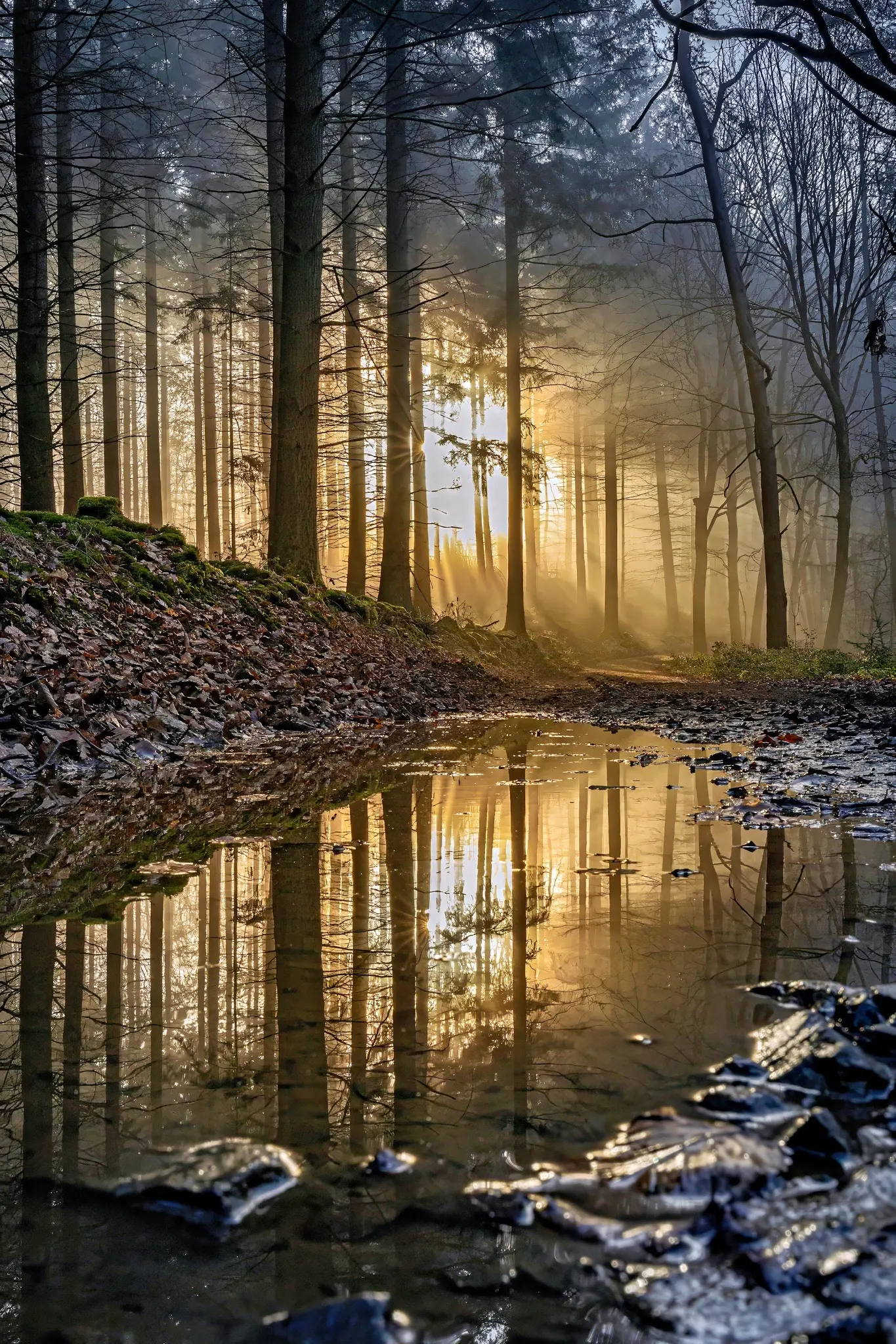 Photograph by Lars-Henrik Roth