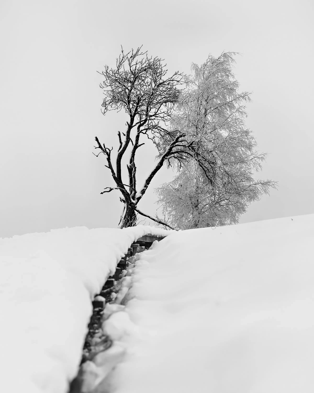 Counterpart by Lars-Henrik Roth