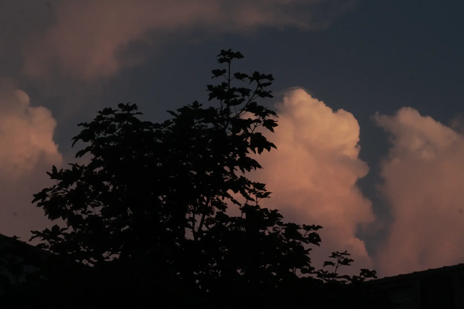Photograph by Berthe diouf