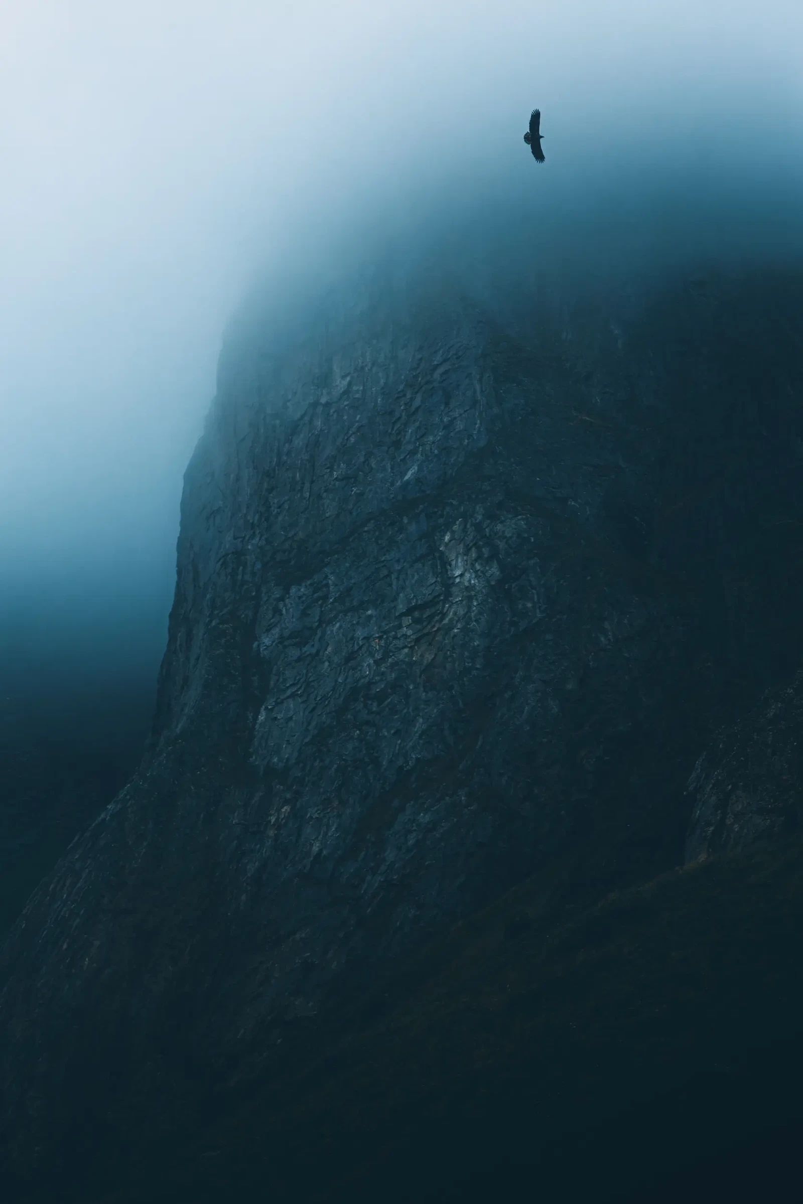 Photograph by Mathieu Bouilloc