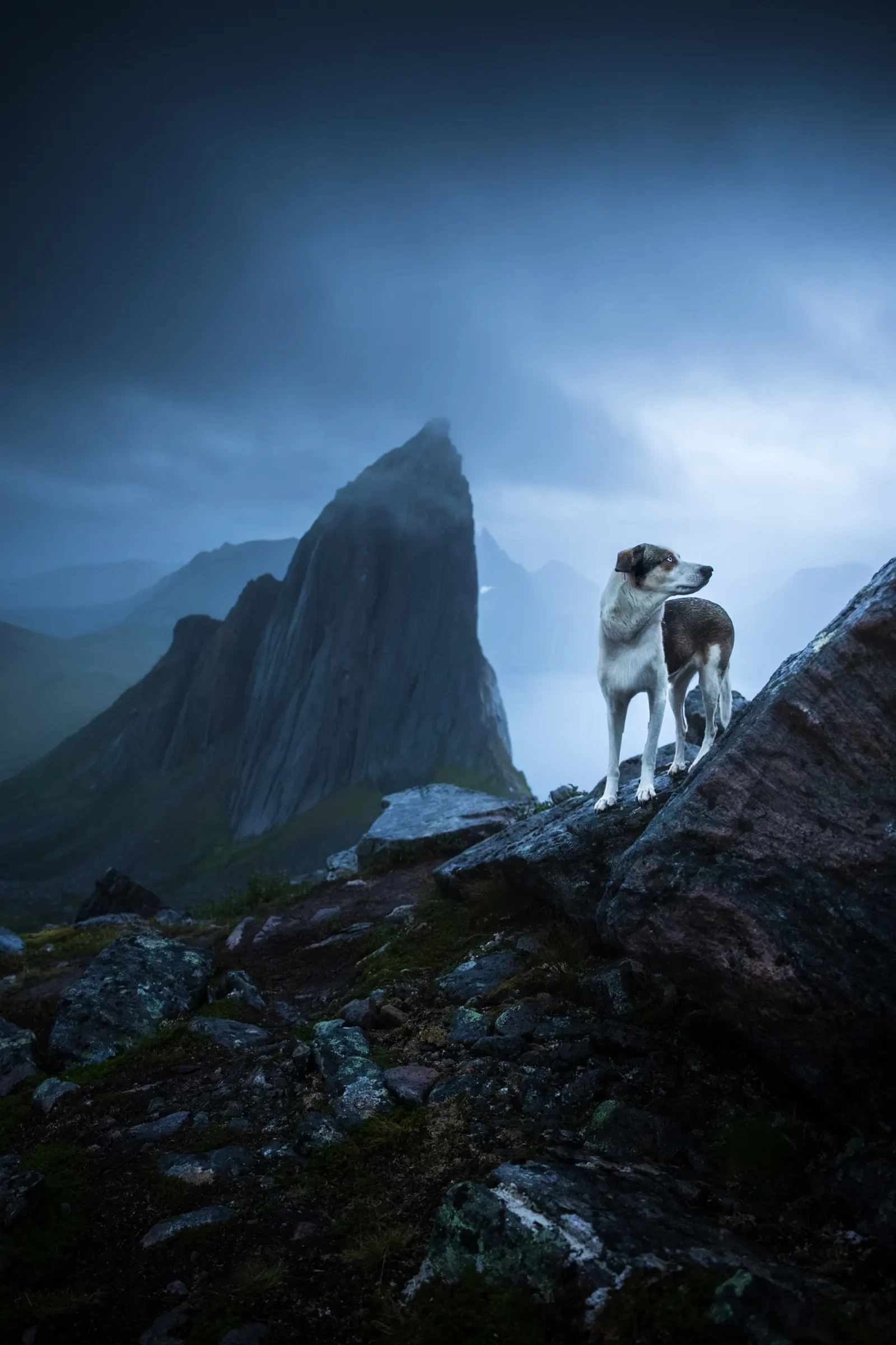 Photograph by Mathieu Bouilloc