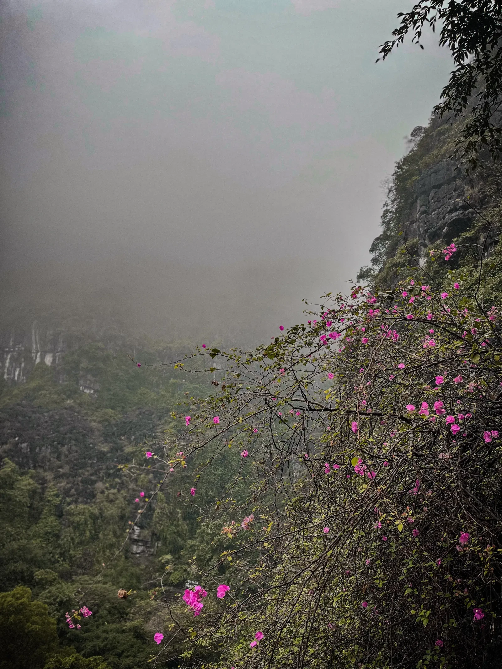 Photograph by Veronica Voltolini