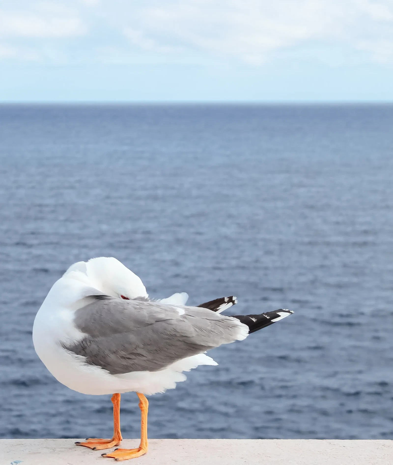 Photograph by jana lena altenhenne