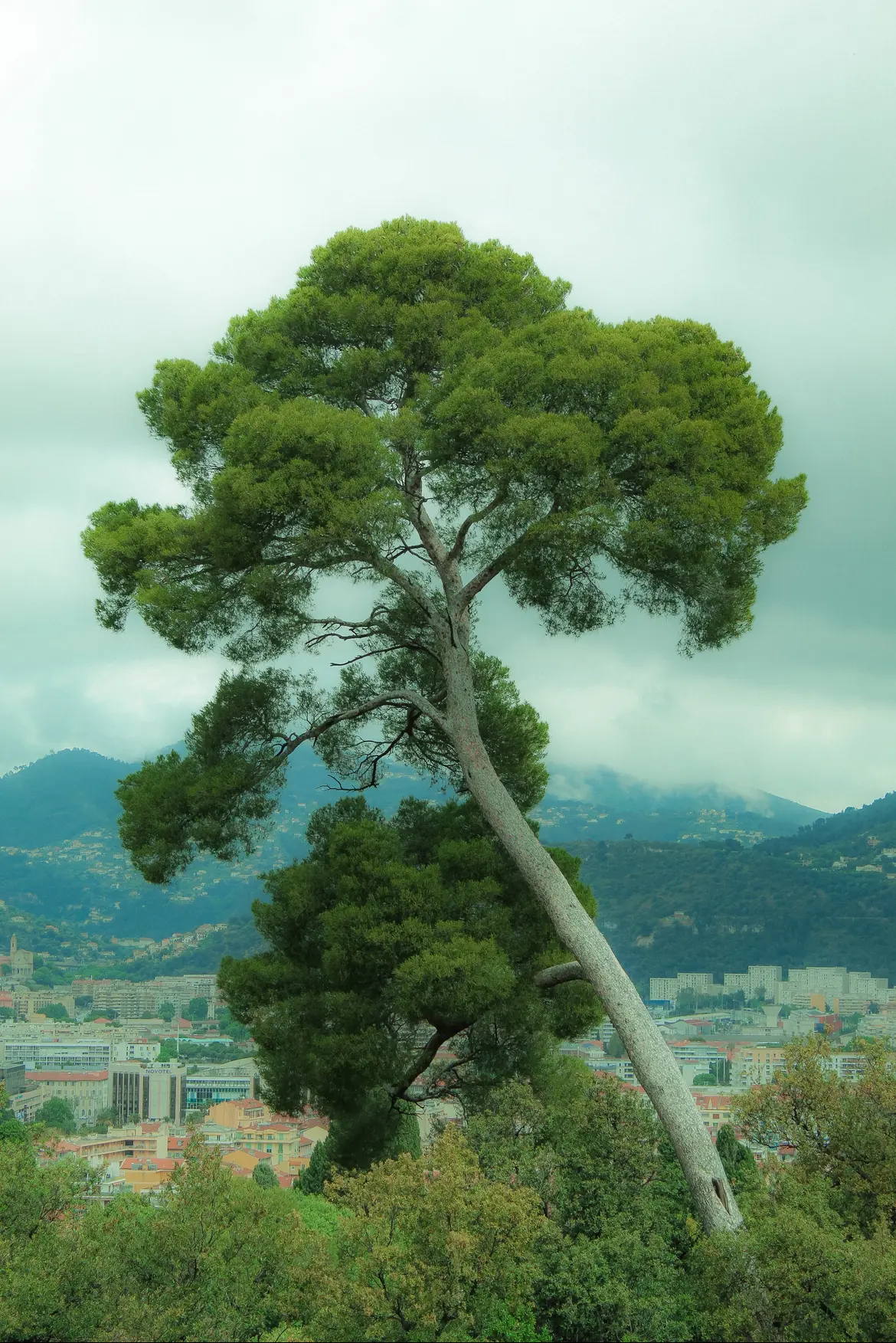 Photograph by jana lena altenhenne