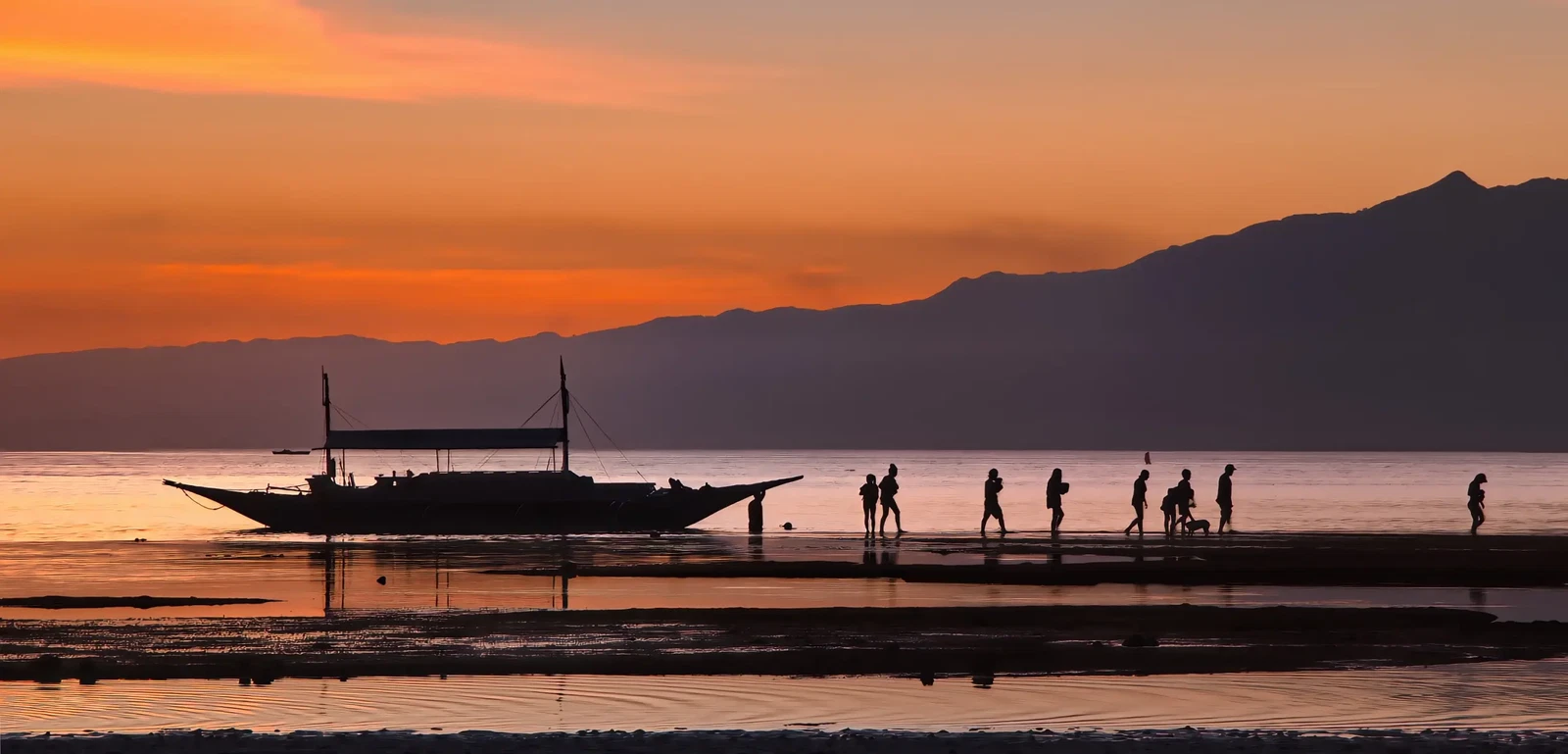 Photograph by William Higgins