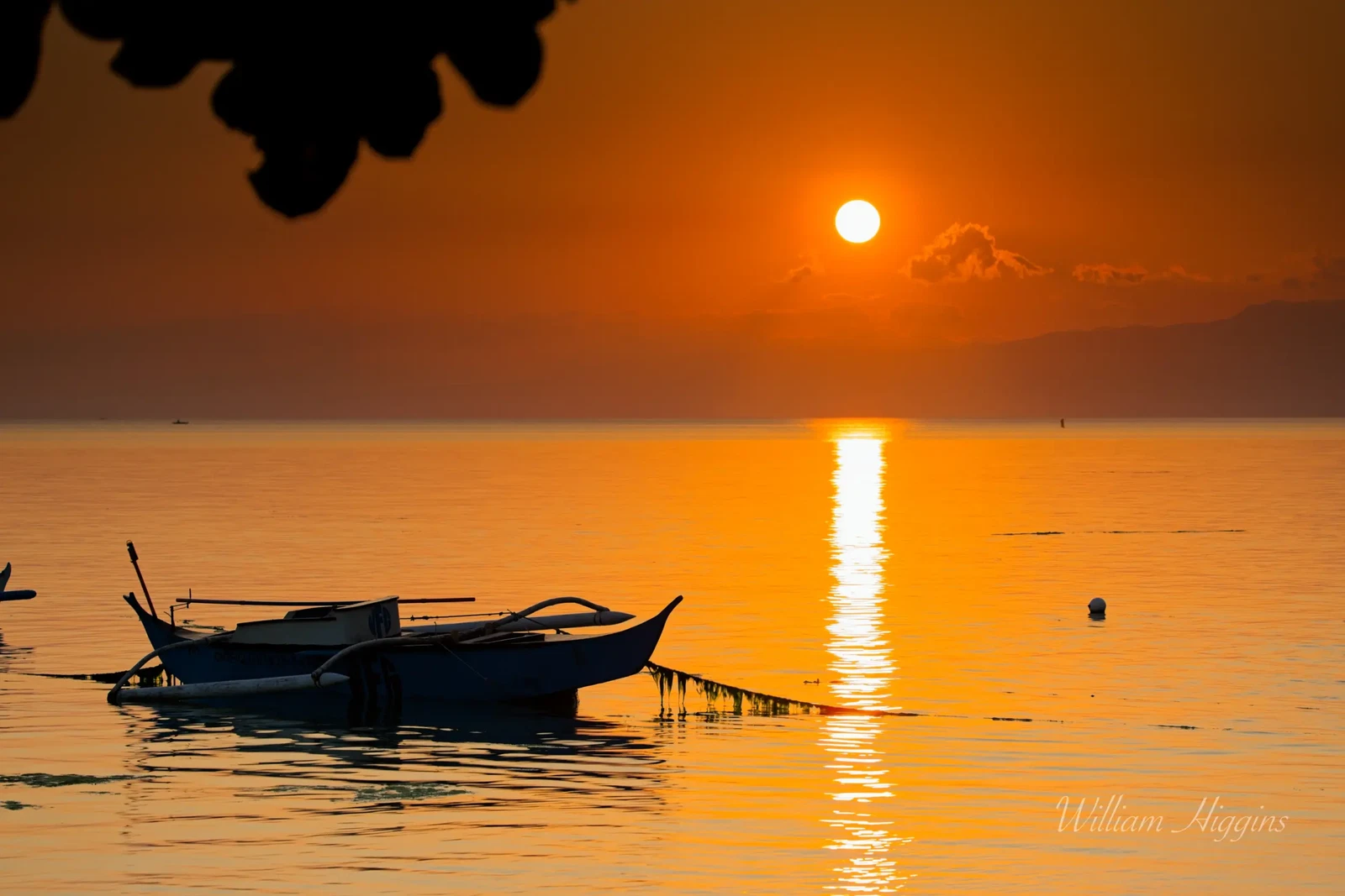 Photograph by William Higgins
