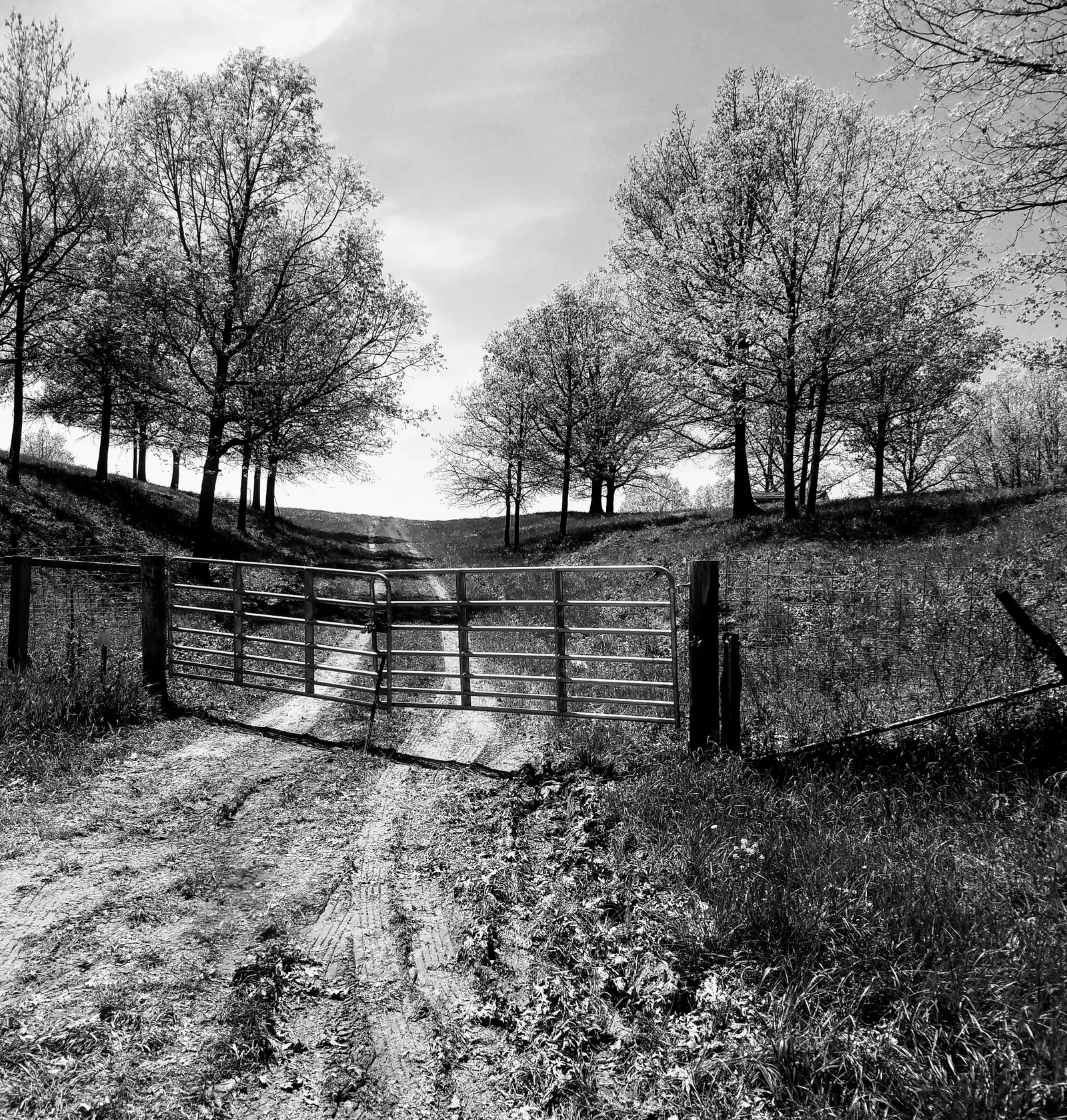 Photograph by Kyle Krieger