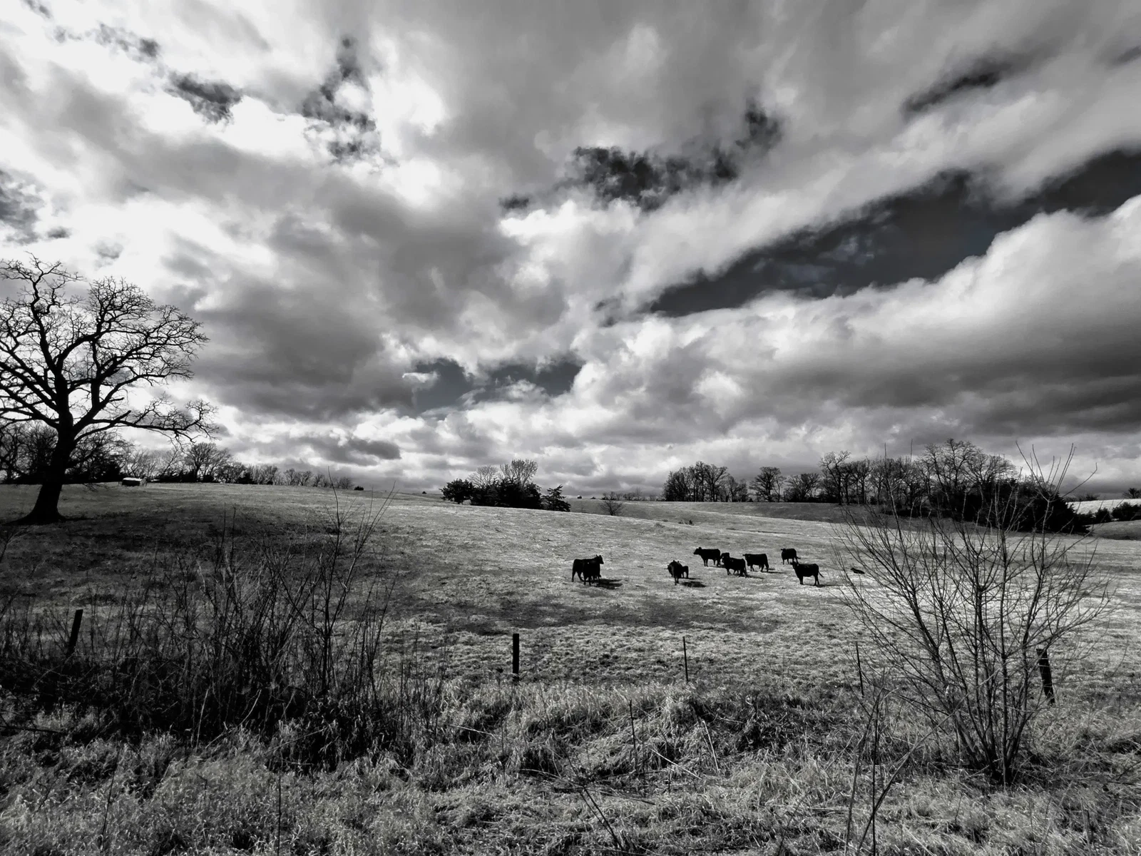 Photograph by Kyle Krieger