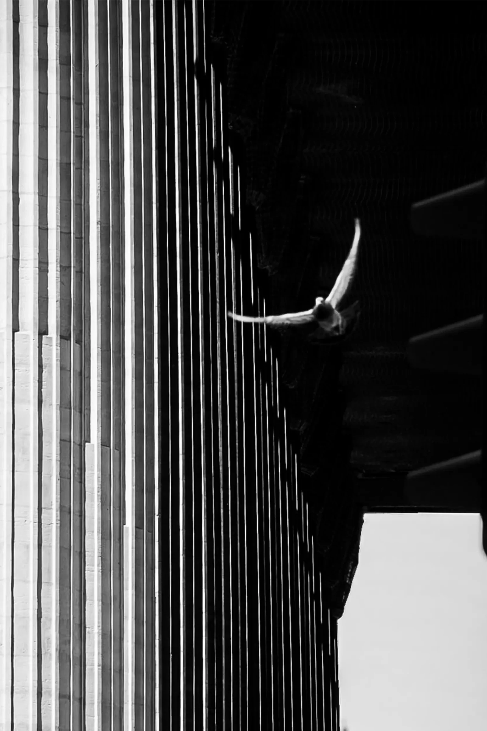 Photograph by Wesley TRELCAT