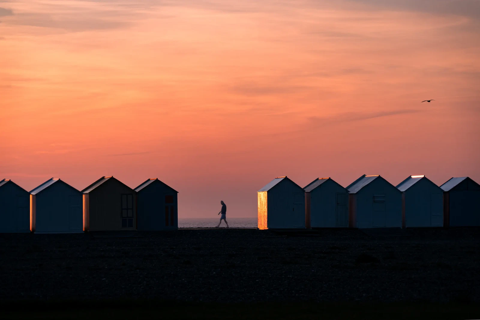 Photograph by Wesley TRELCAT