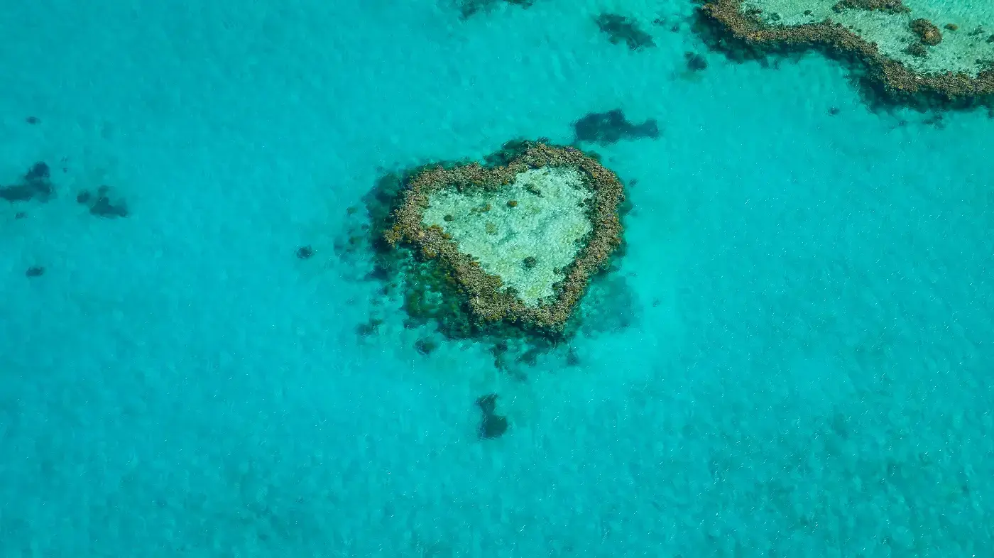 Heart of the Ocean by Martin Wasilewski