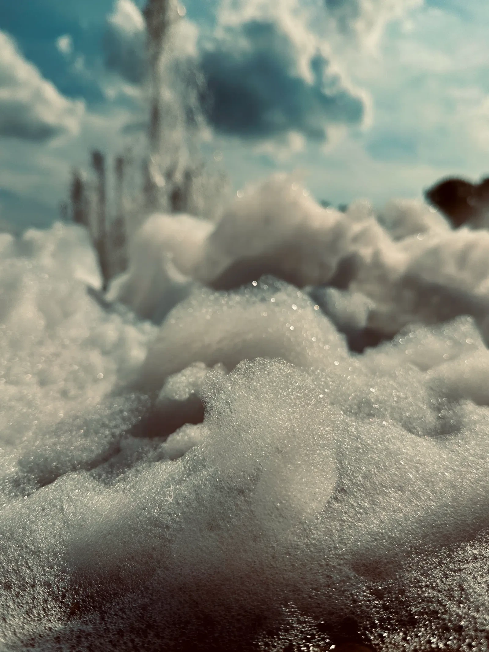 Photograph by Michael Bulgrin