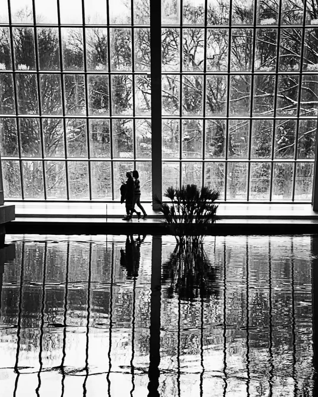 Photograph by Michael Enright