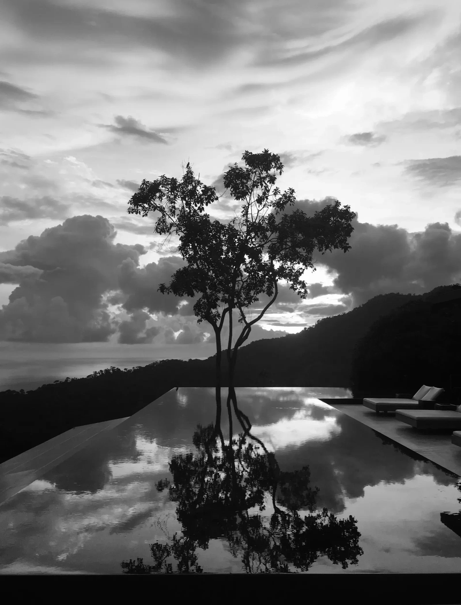 Photograph by Michael Enright