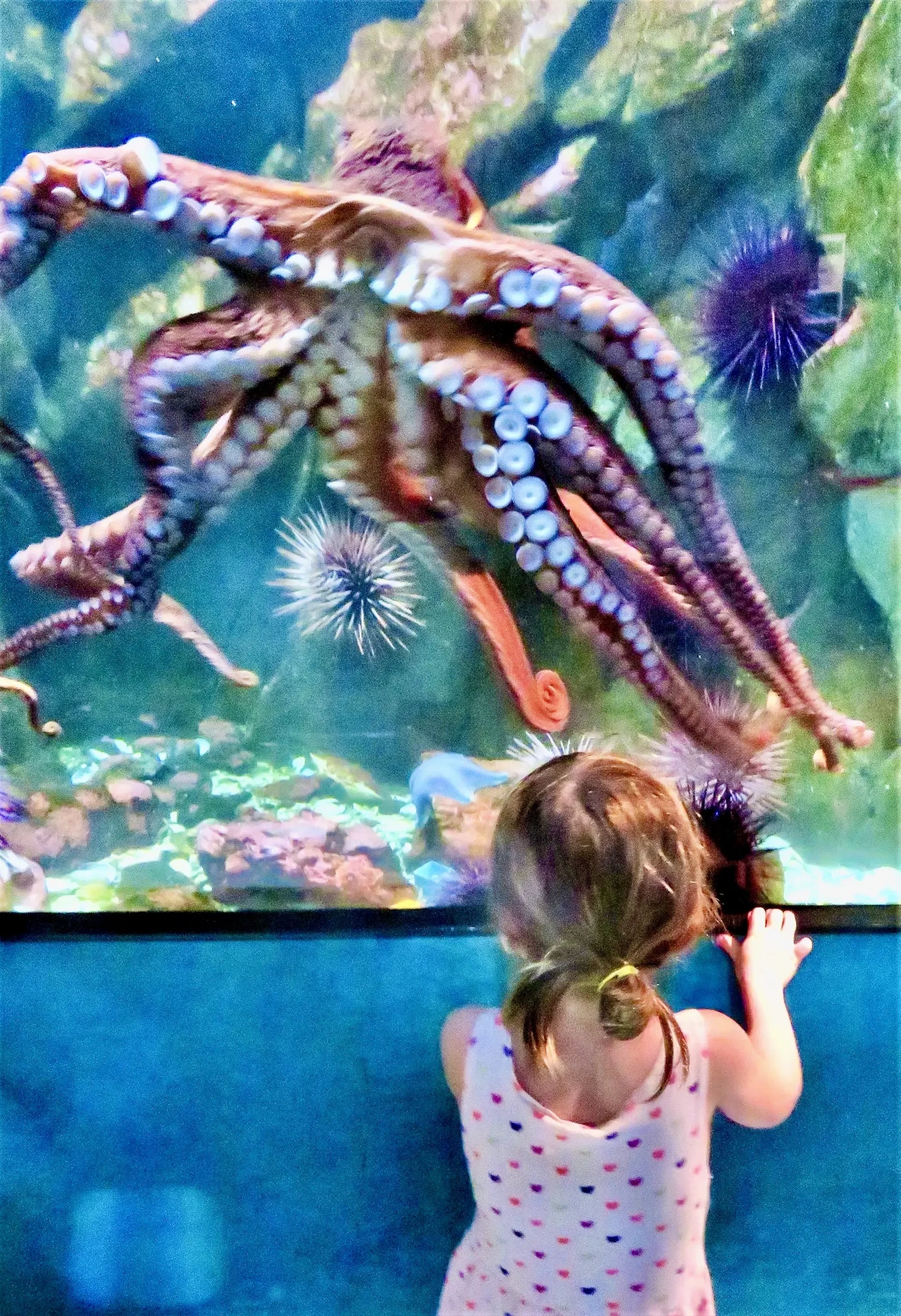 Eye to eye by Jonathan Craven
