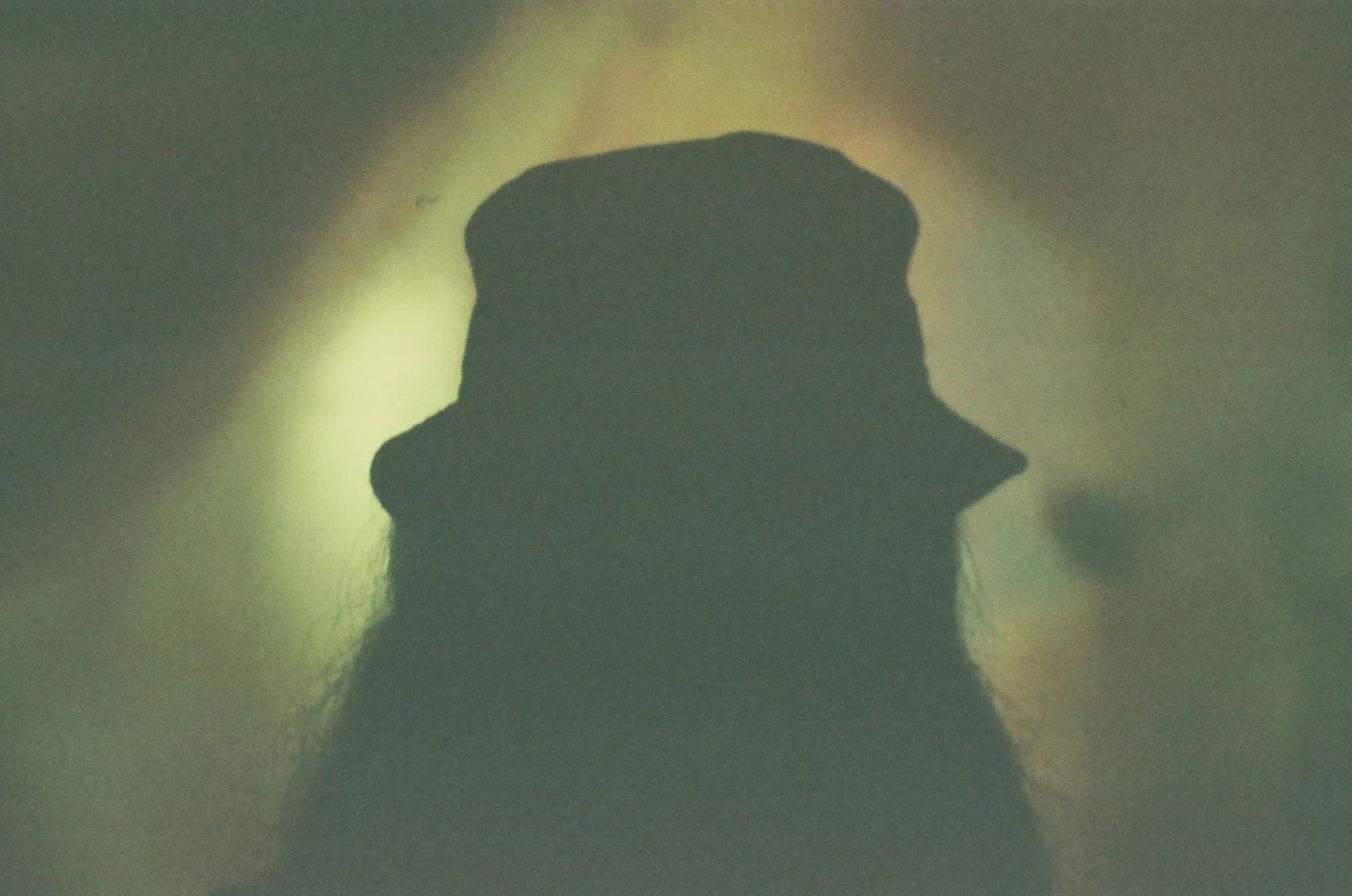 Photograph by Harry You