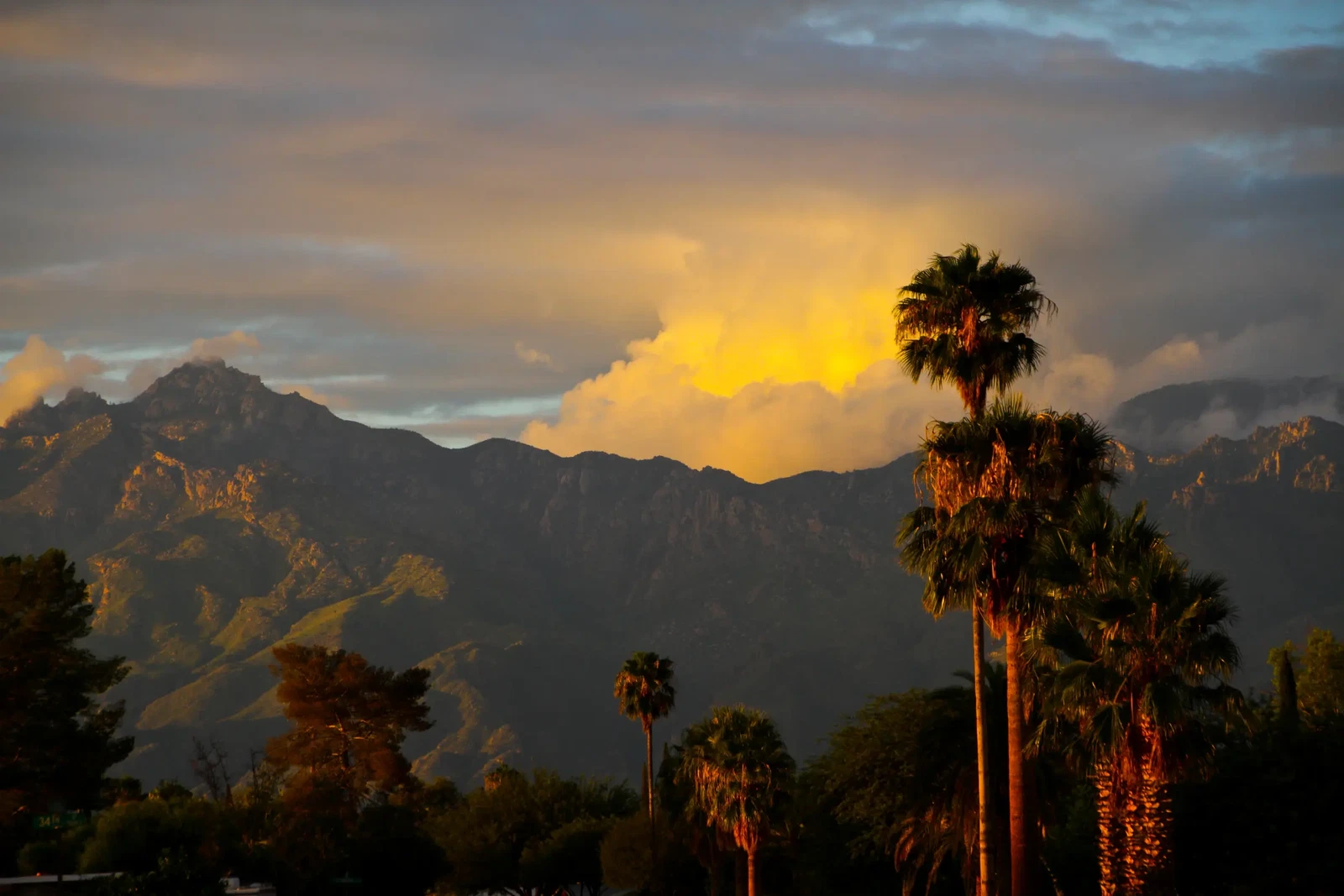 Photograph by Abbe Gore