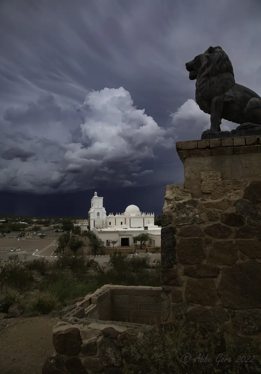 Photograph by Abbe Gore