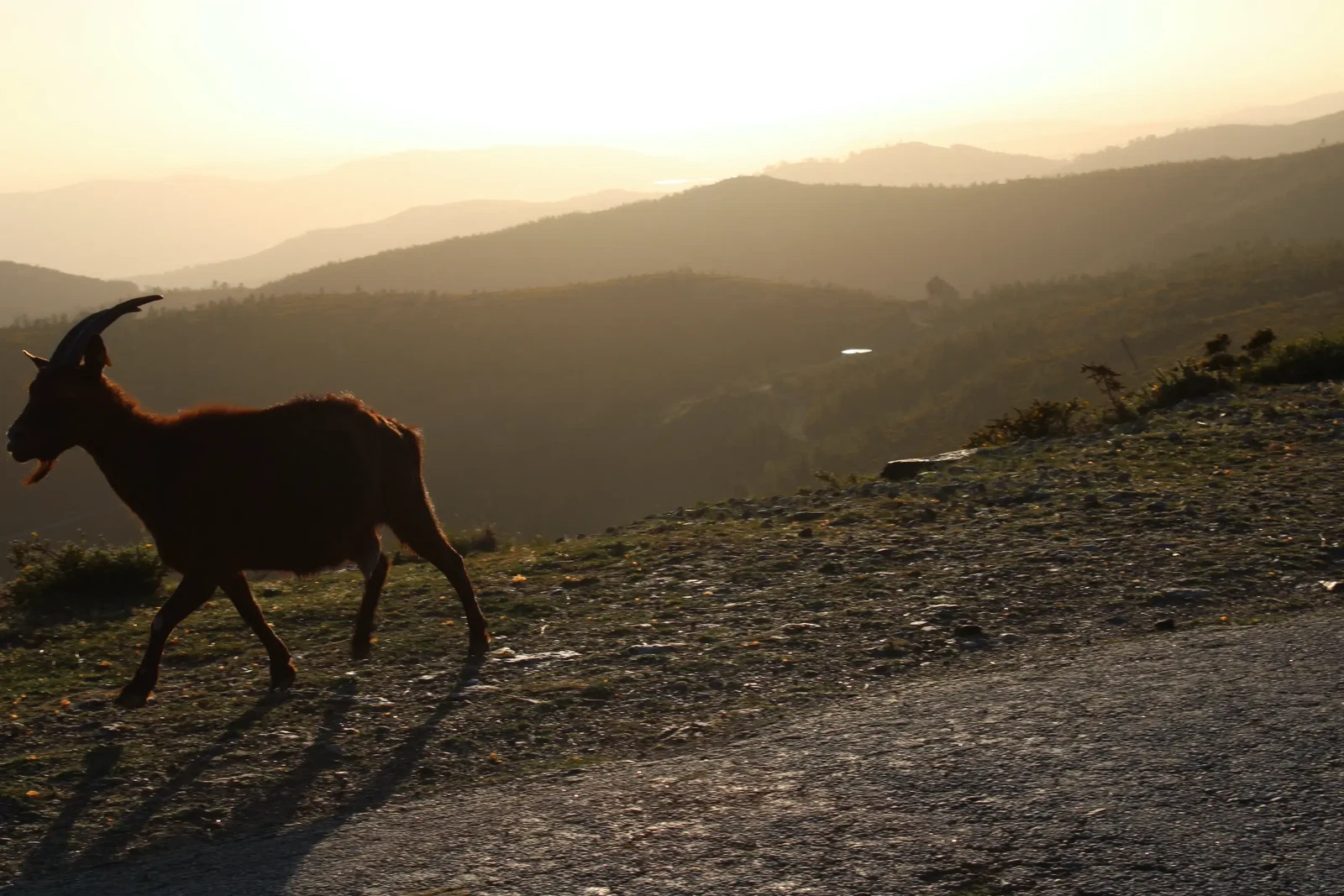 Photograph by van-s%c3%a9r