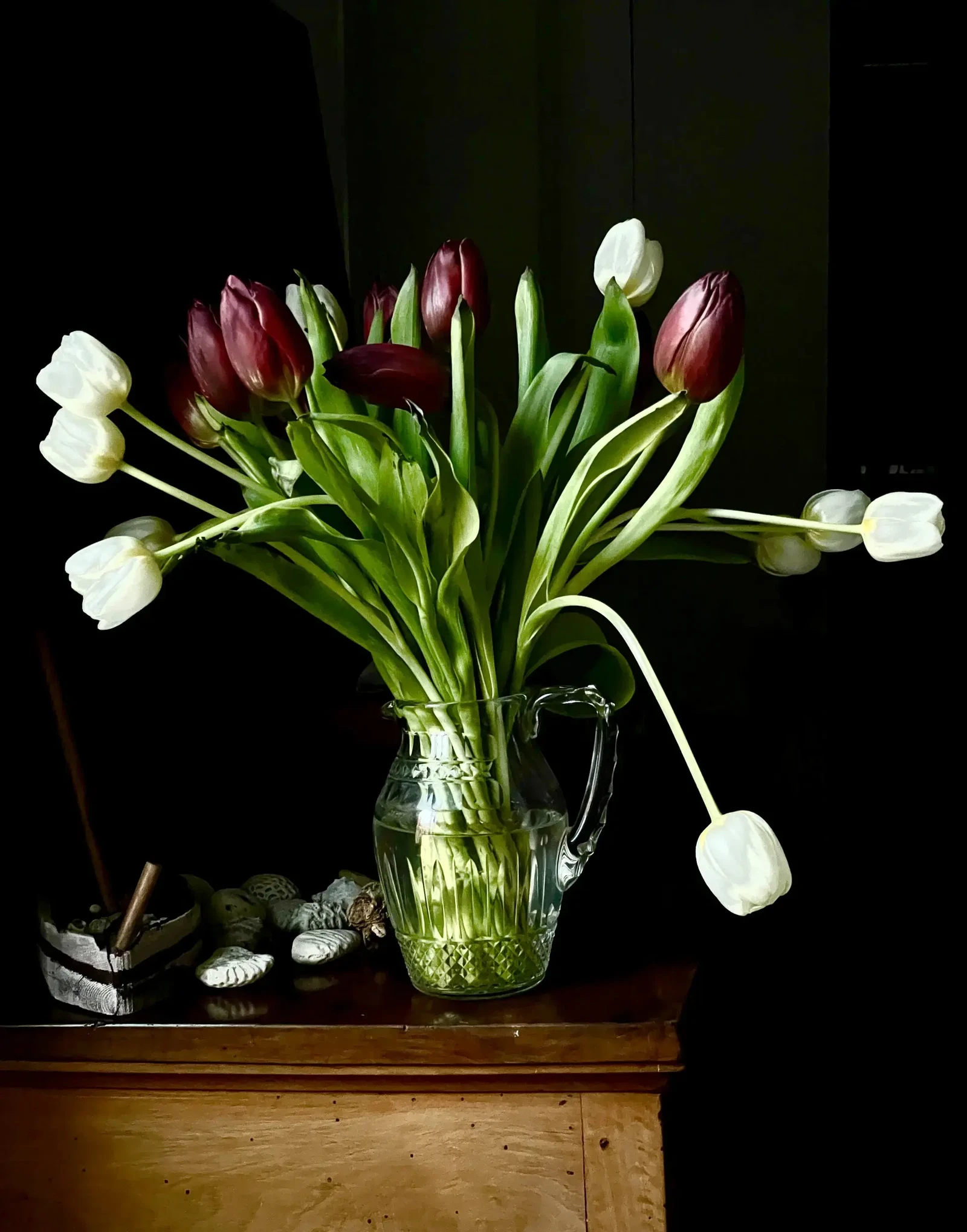 tulipani su fondo nero by monica gambino