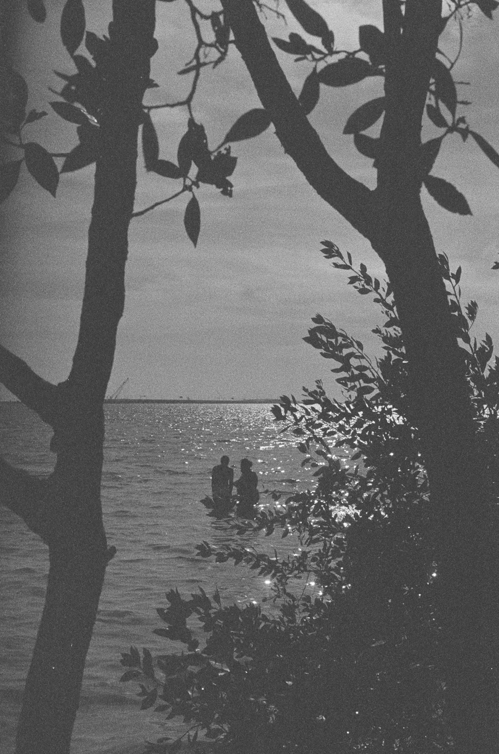 Photograph by Bam Davidson