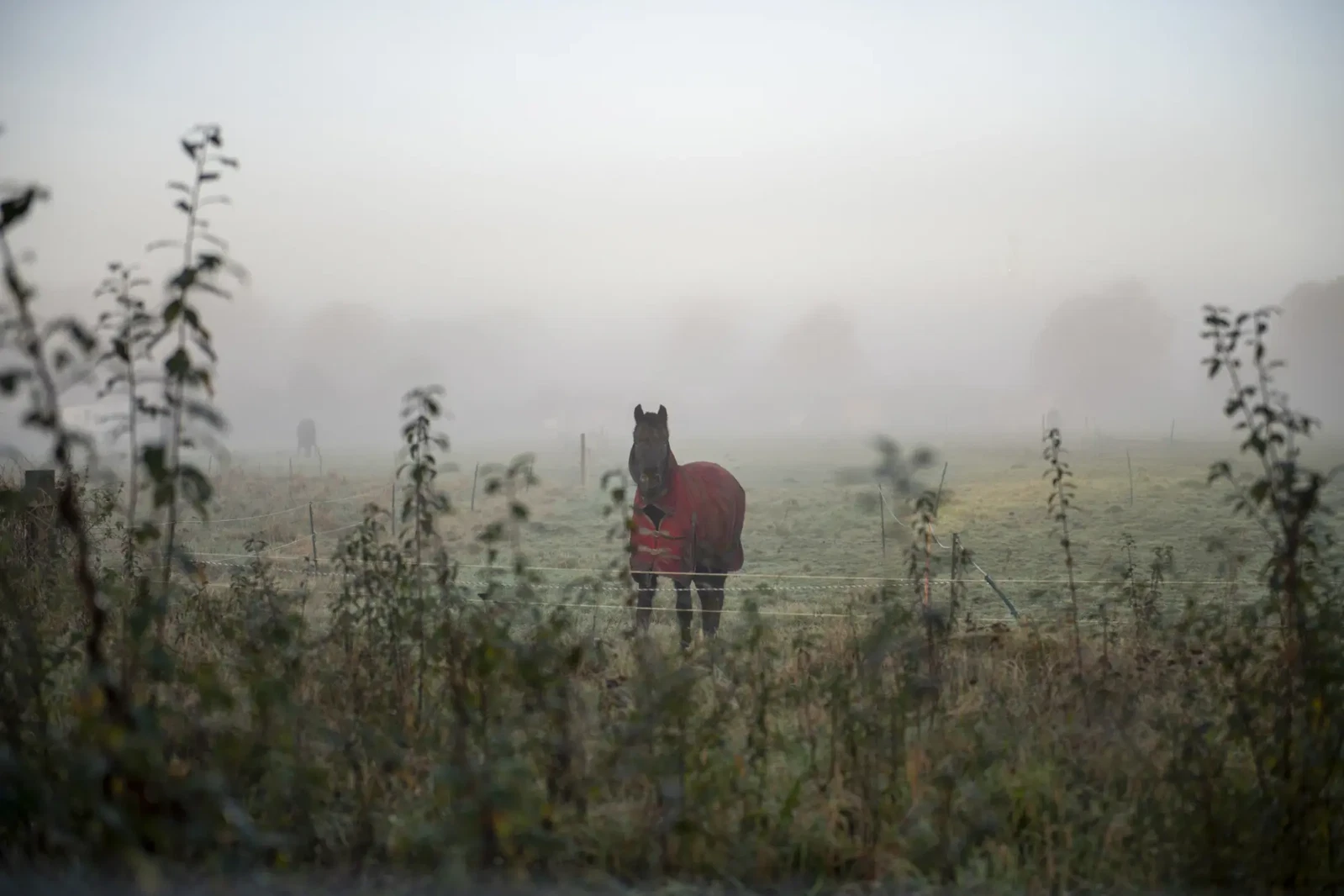 Photograph by Jakub Knap