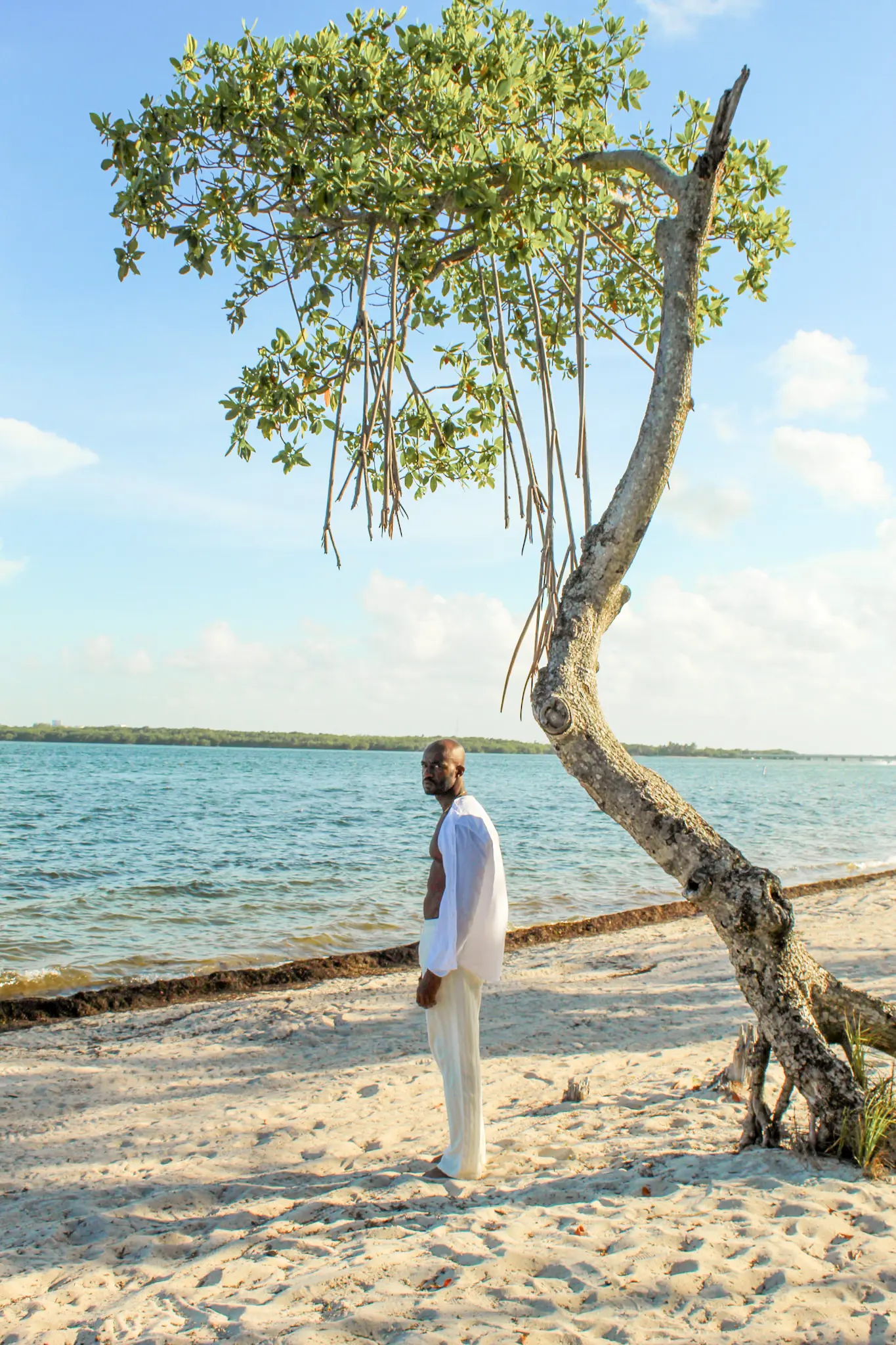 Photograph by Mariam ElWakil