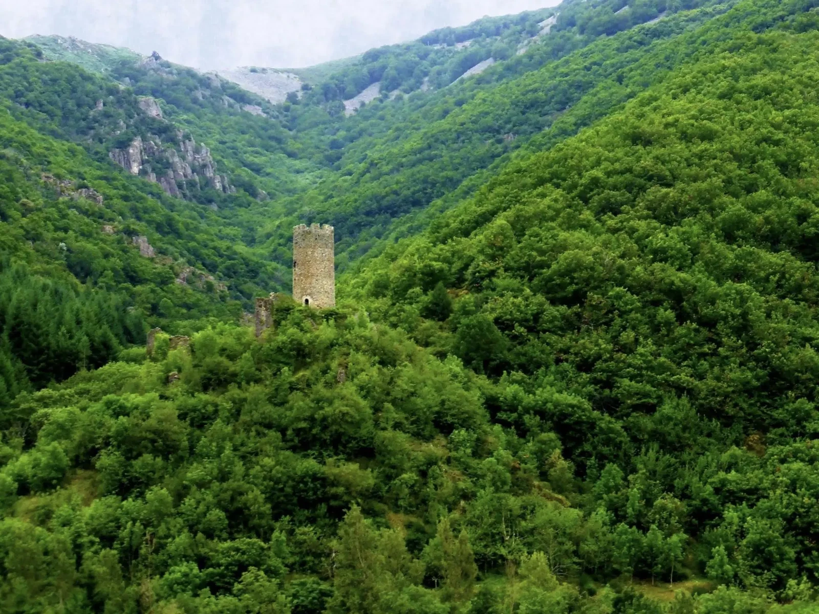 Photograph by Marc Leonardin Moravia