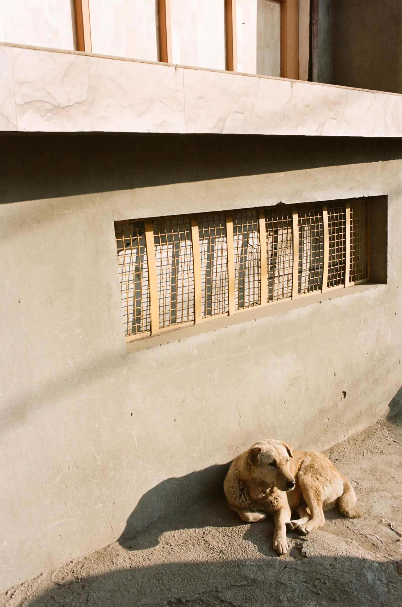 Srinagar by Mathijs Nijenhuis