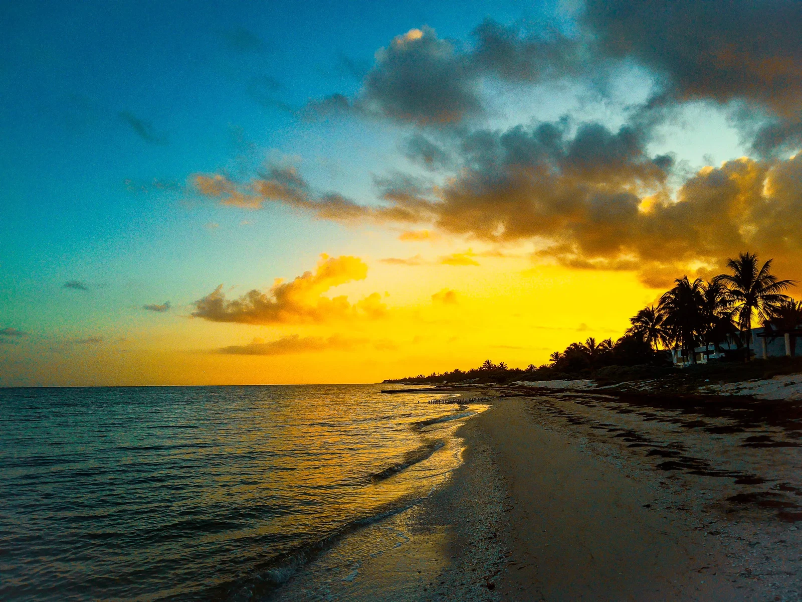 Photograph by Dillon Yruegas