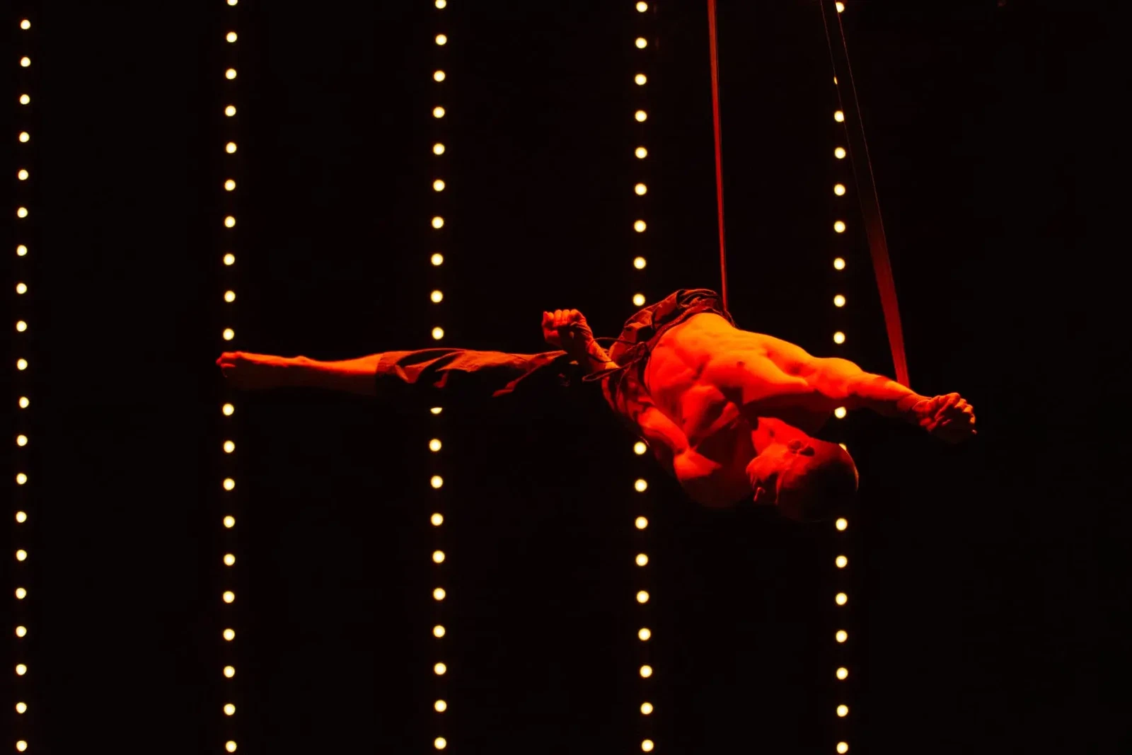 Suspension by franka-g%c3%bcnzel-radke